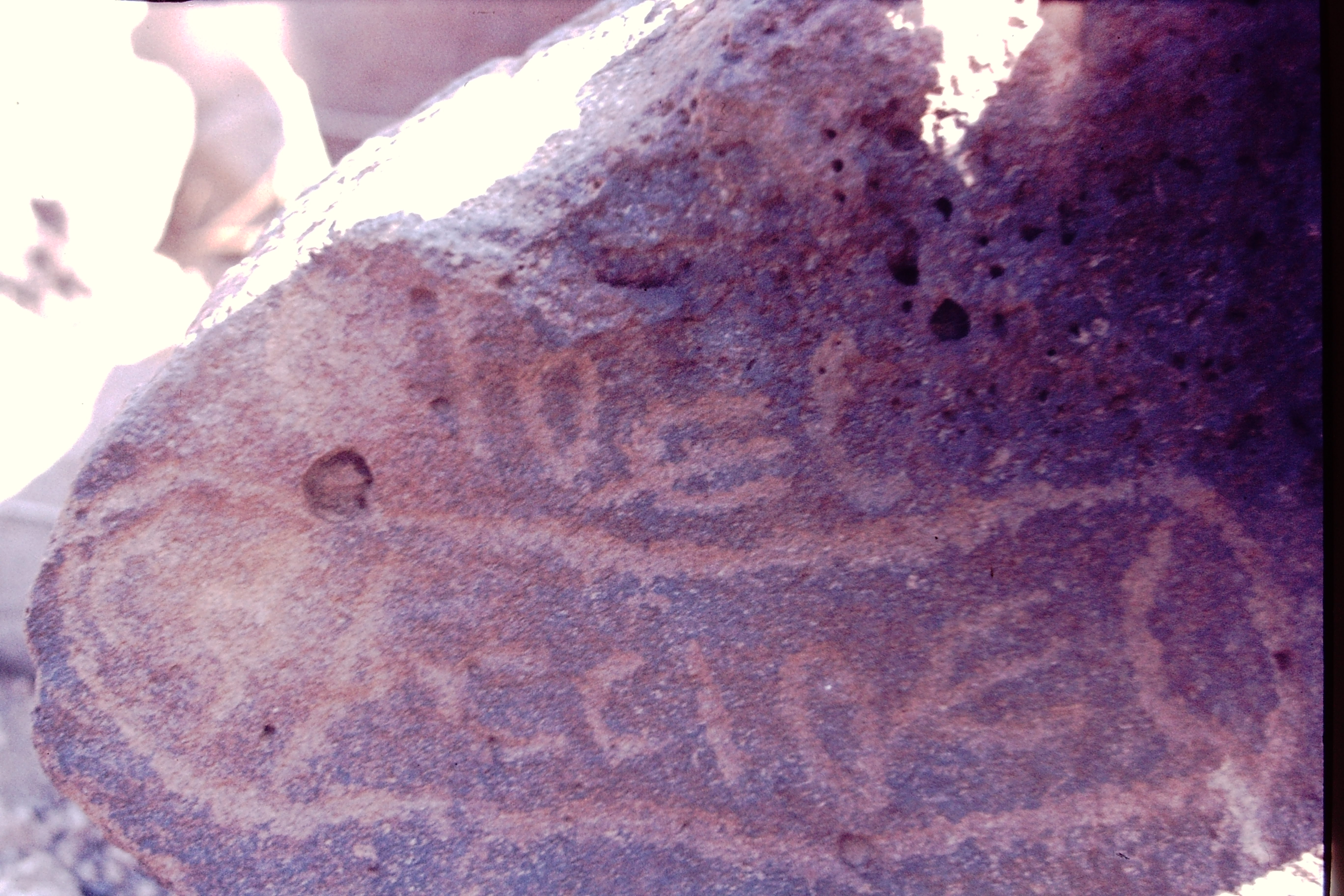 inscription of siglum CSNS 306