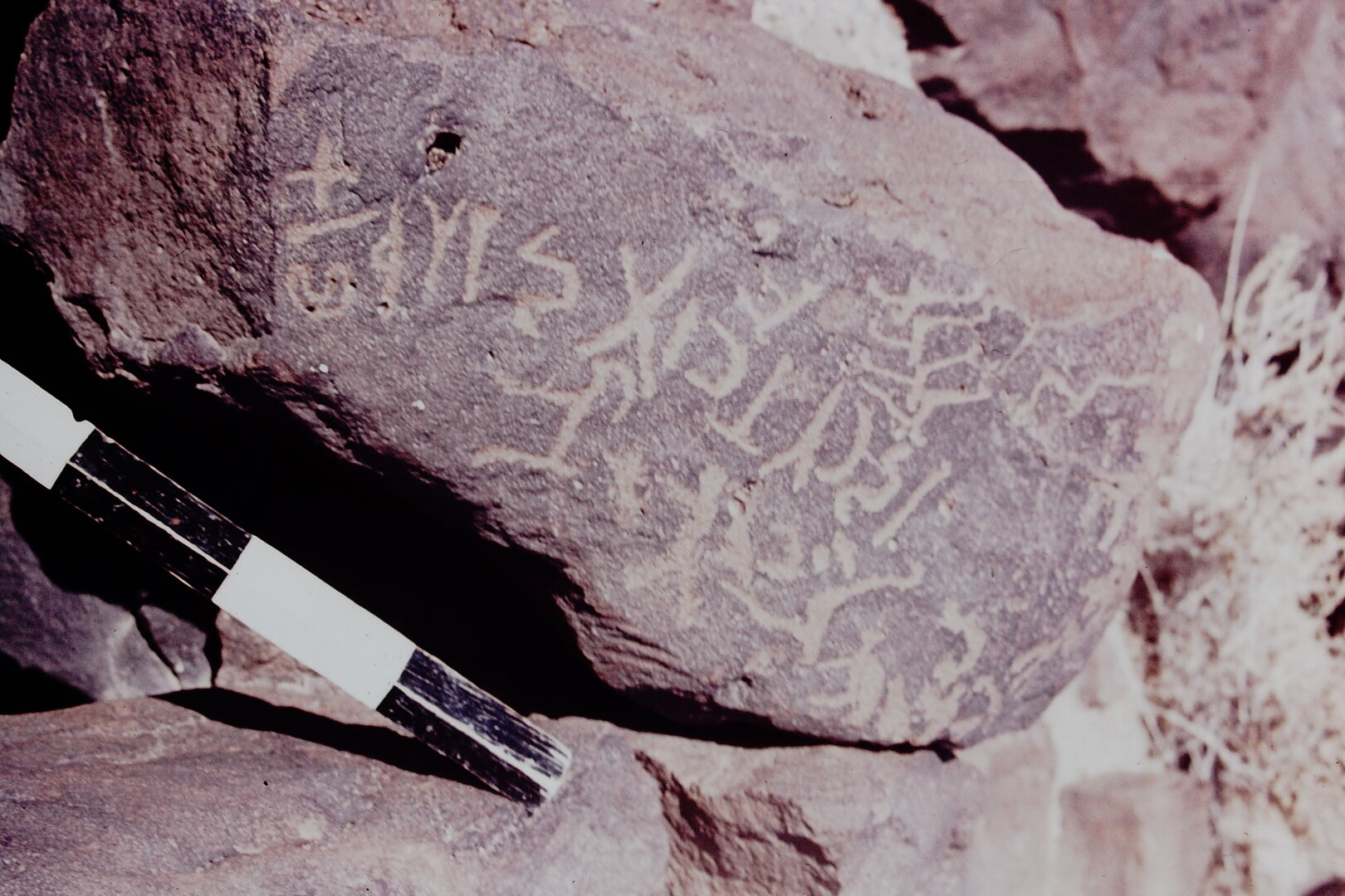 inscription of siglum CSNS 309