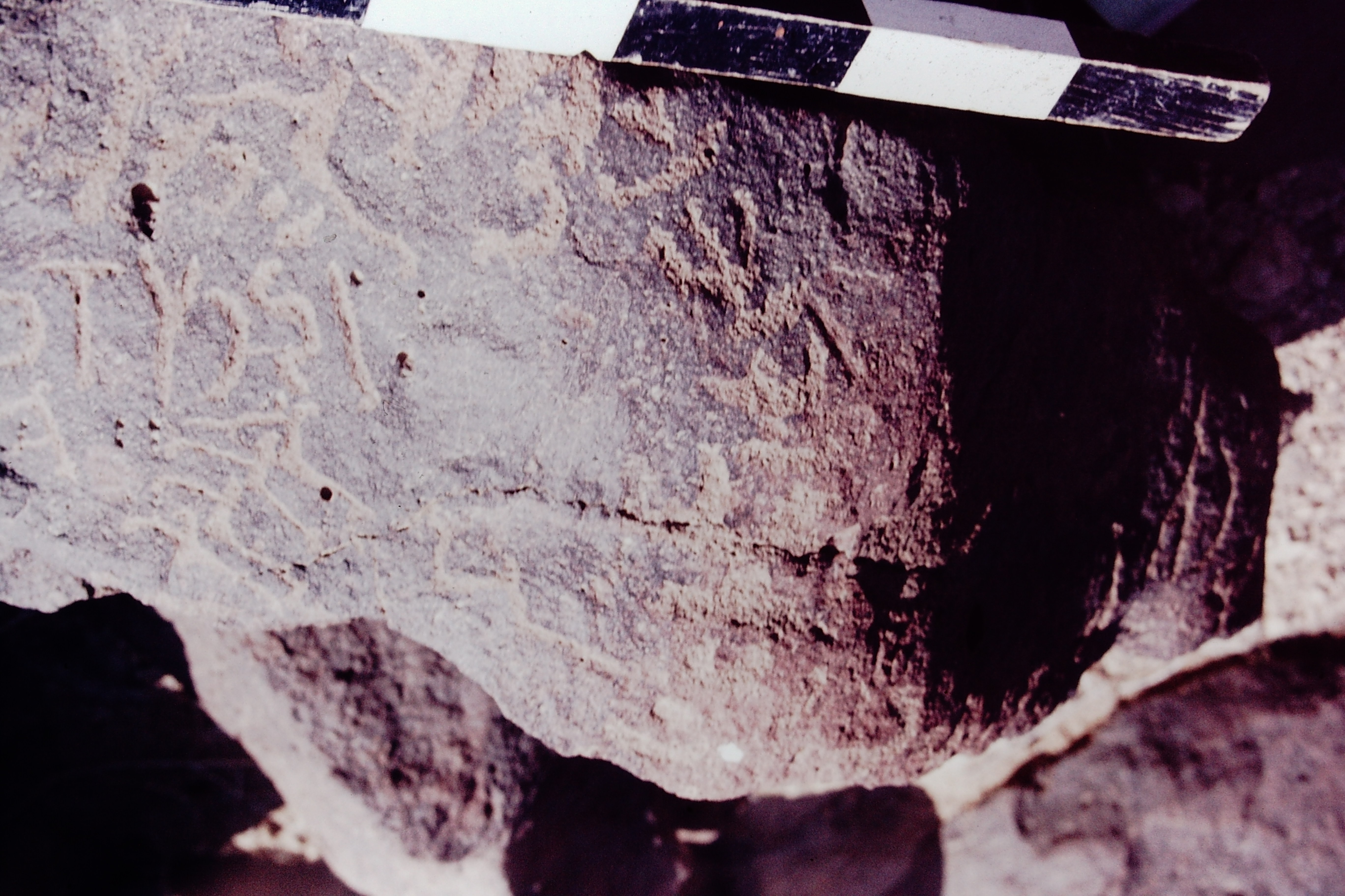 inscription of siglum CSNS 309