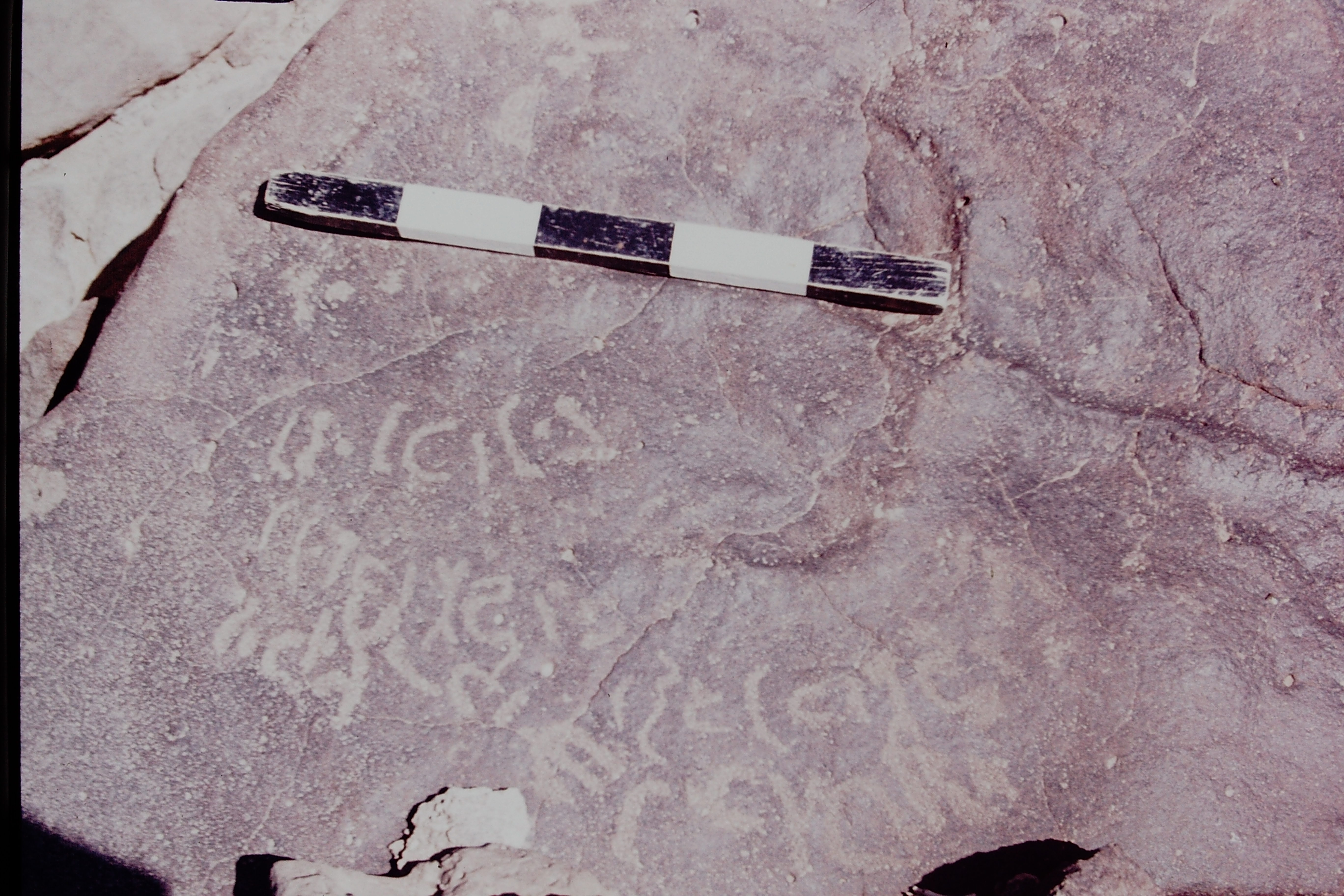 inscription of siglum CSNS 312