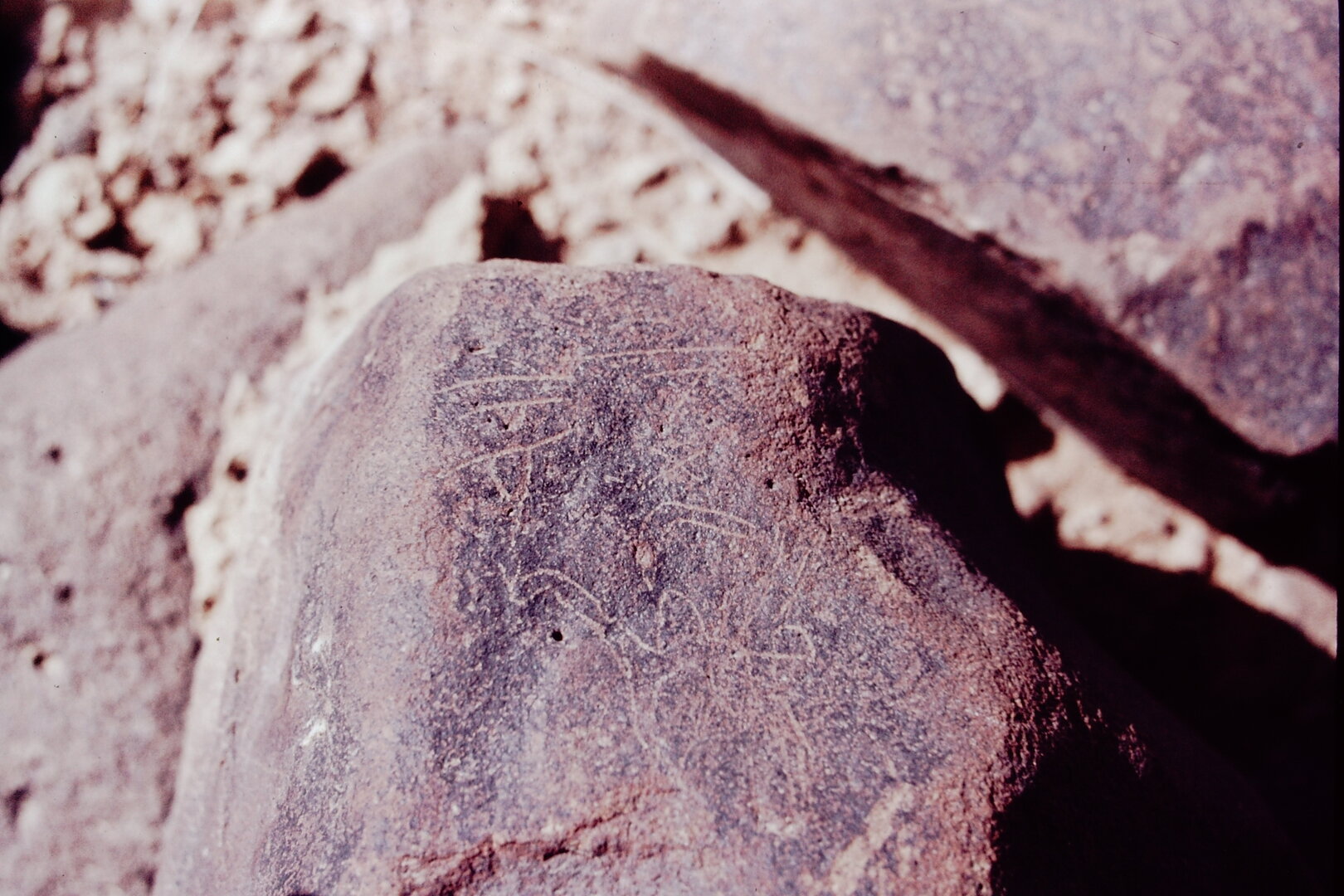 inscription of siglum CSNS 330
