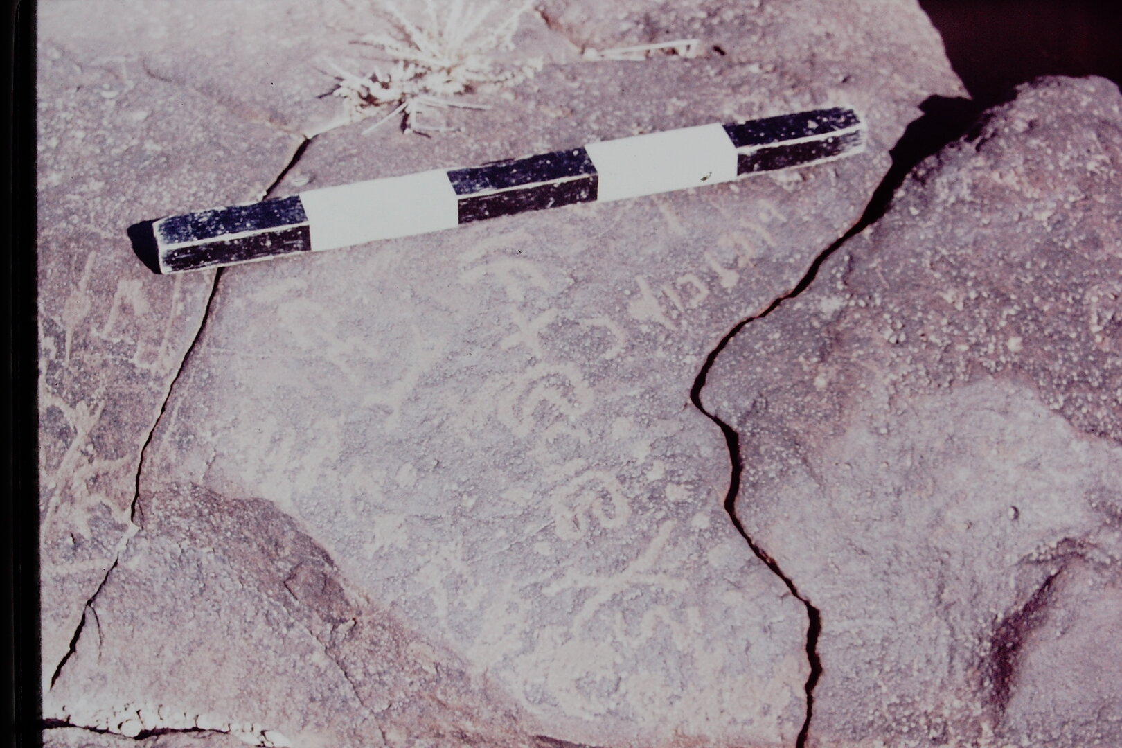inscription of siglum CSNS 331