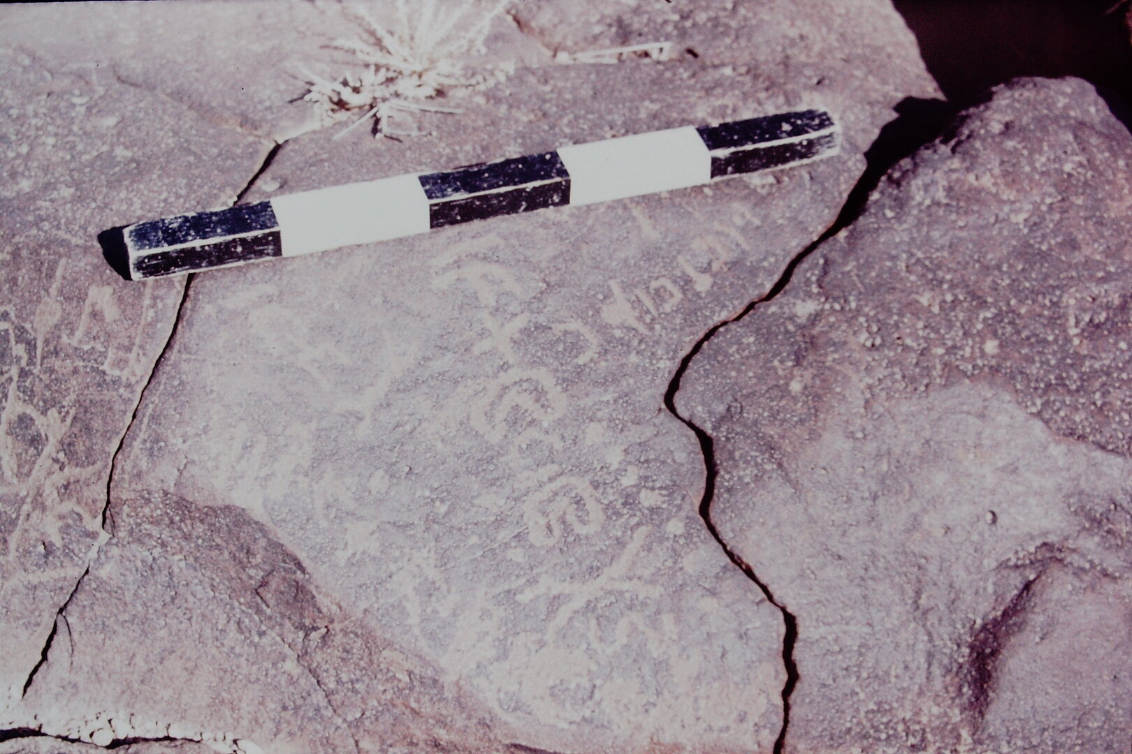 inscription of siglum CSNS 333