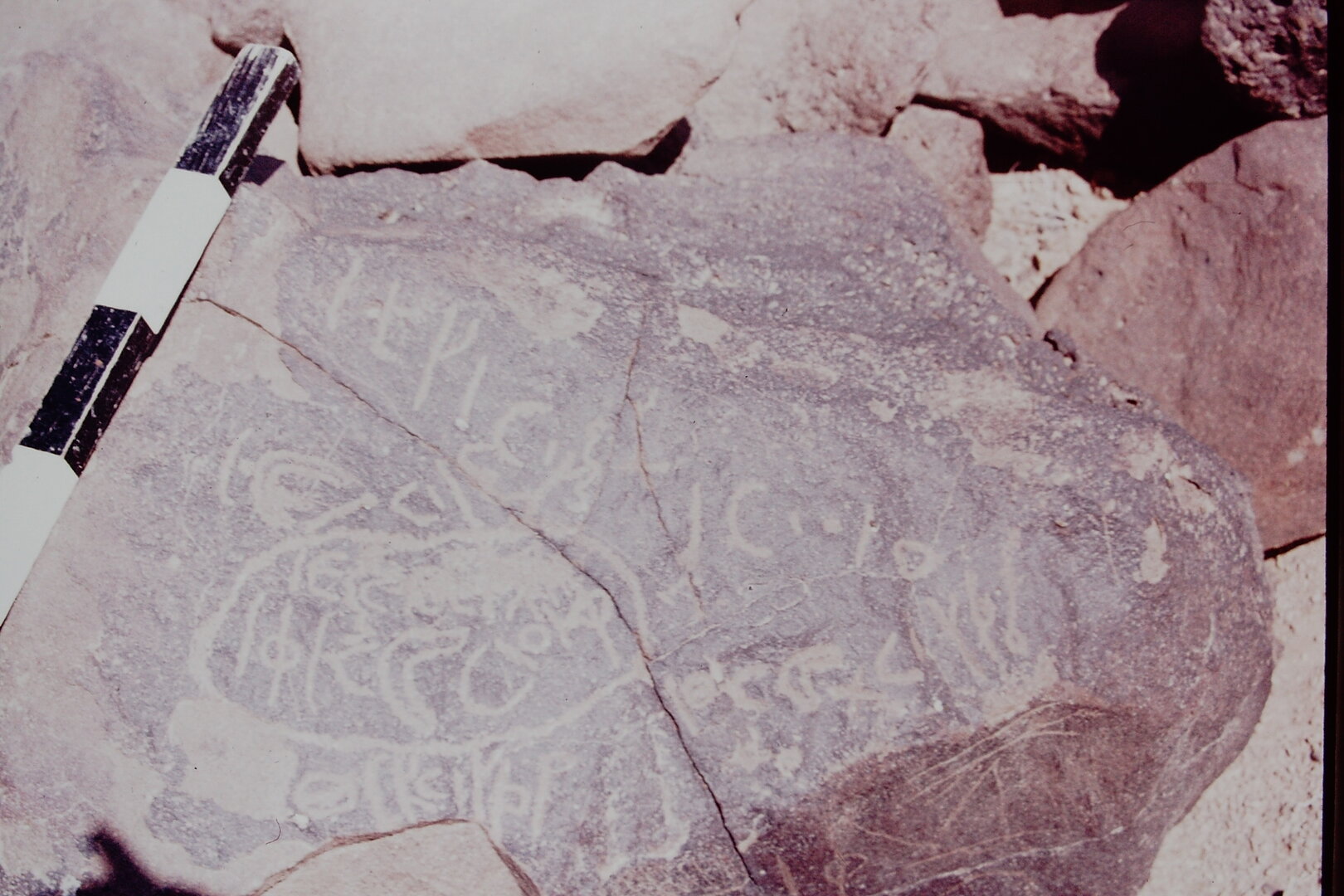 inscription of siglum CSNS 339
