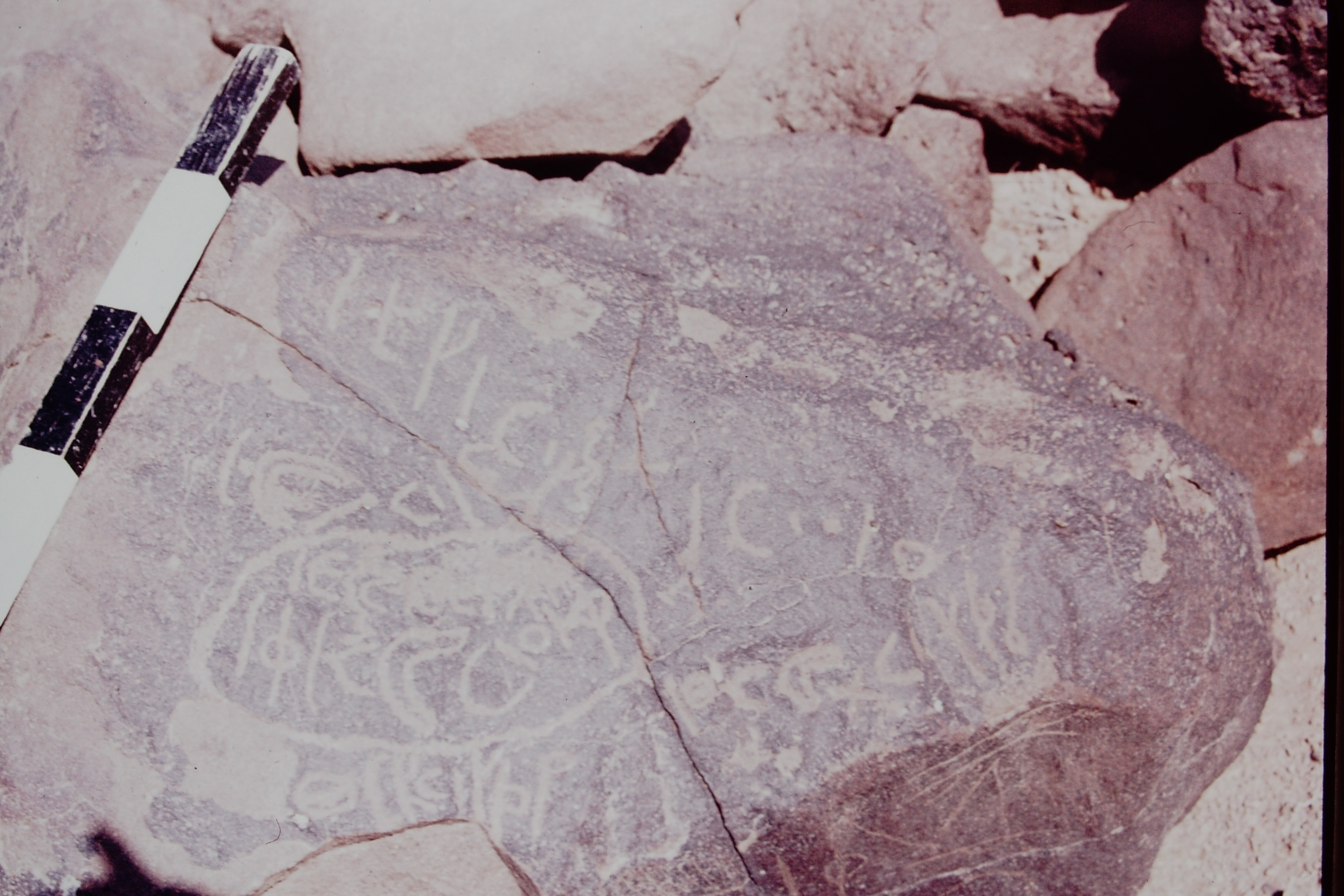 inscription of siglum CSNS 339