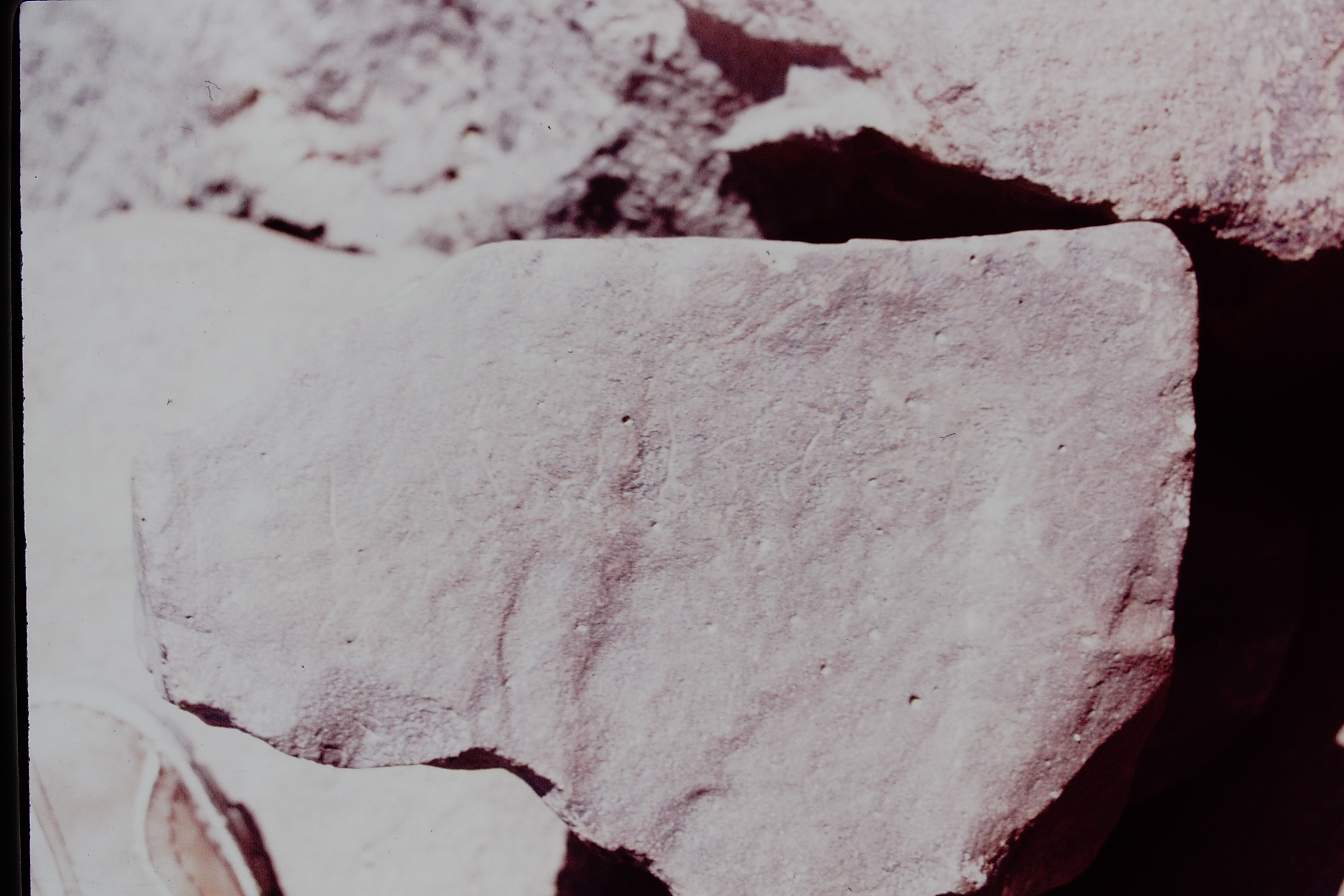 inscription of siglum CSNS 342