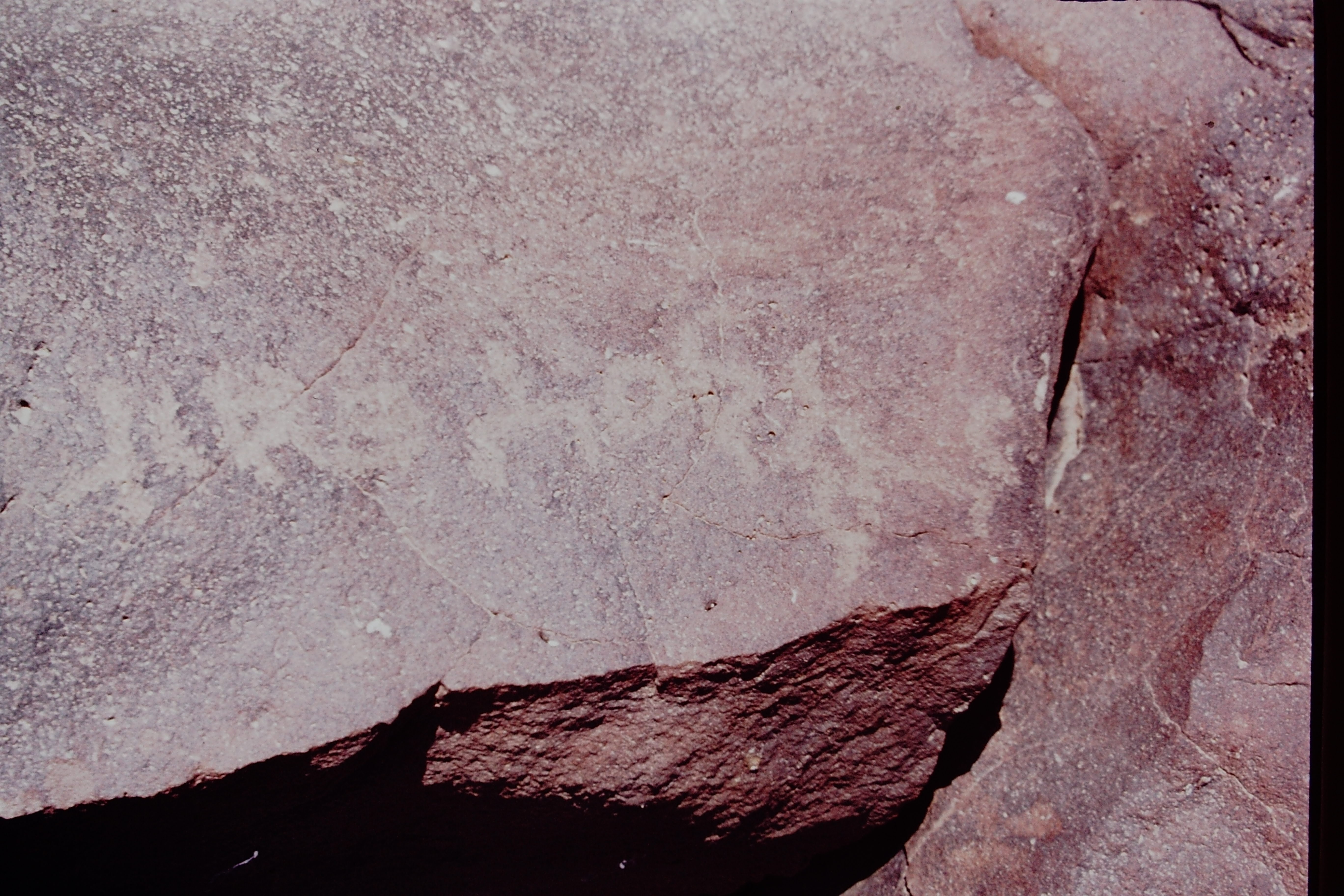 inscription of siglum CSNS 343