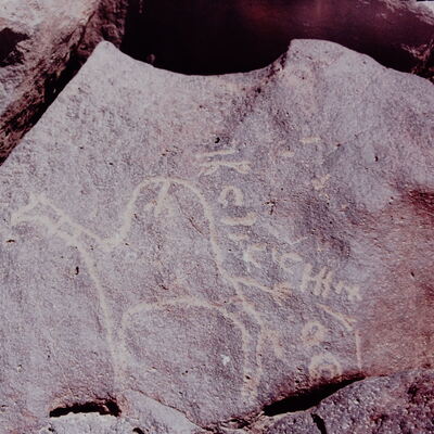 inscription of siglum CSNS 345