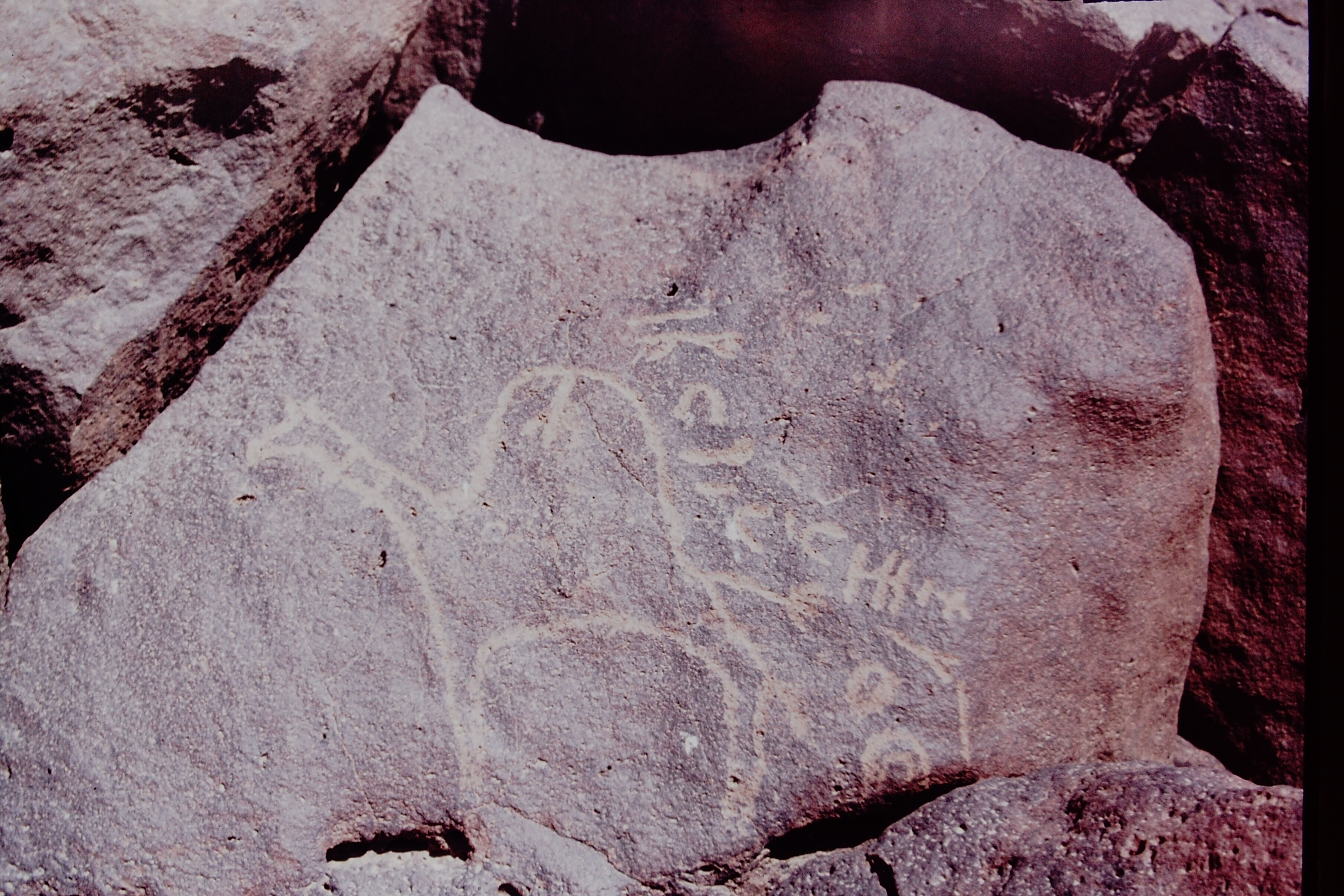 inscription of siglum CSNS 345