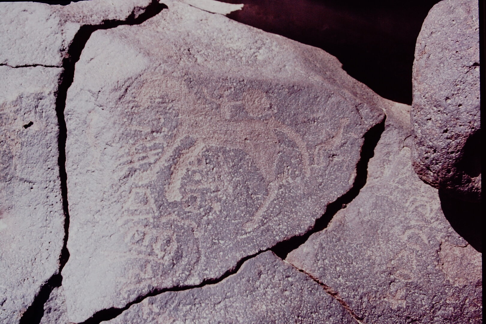 inscription of siglum CSNS 366