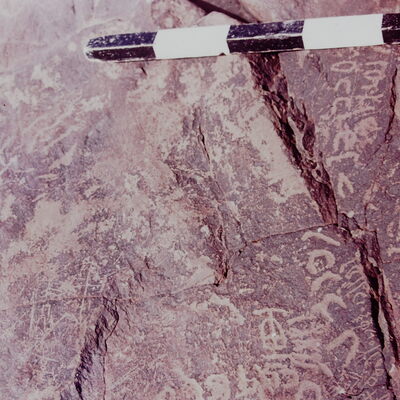 inscription of siglum CSNS 391