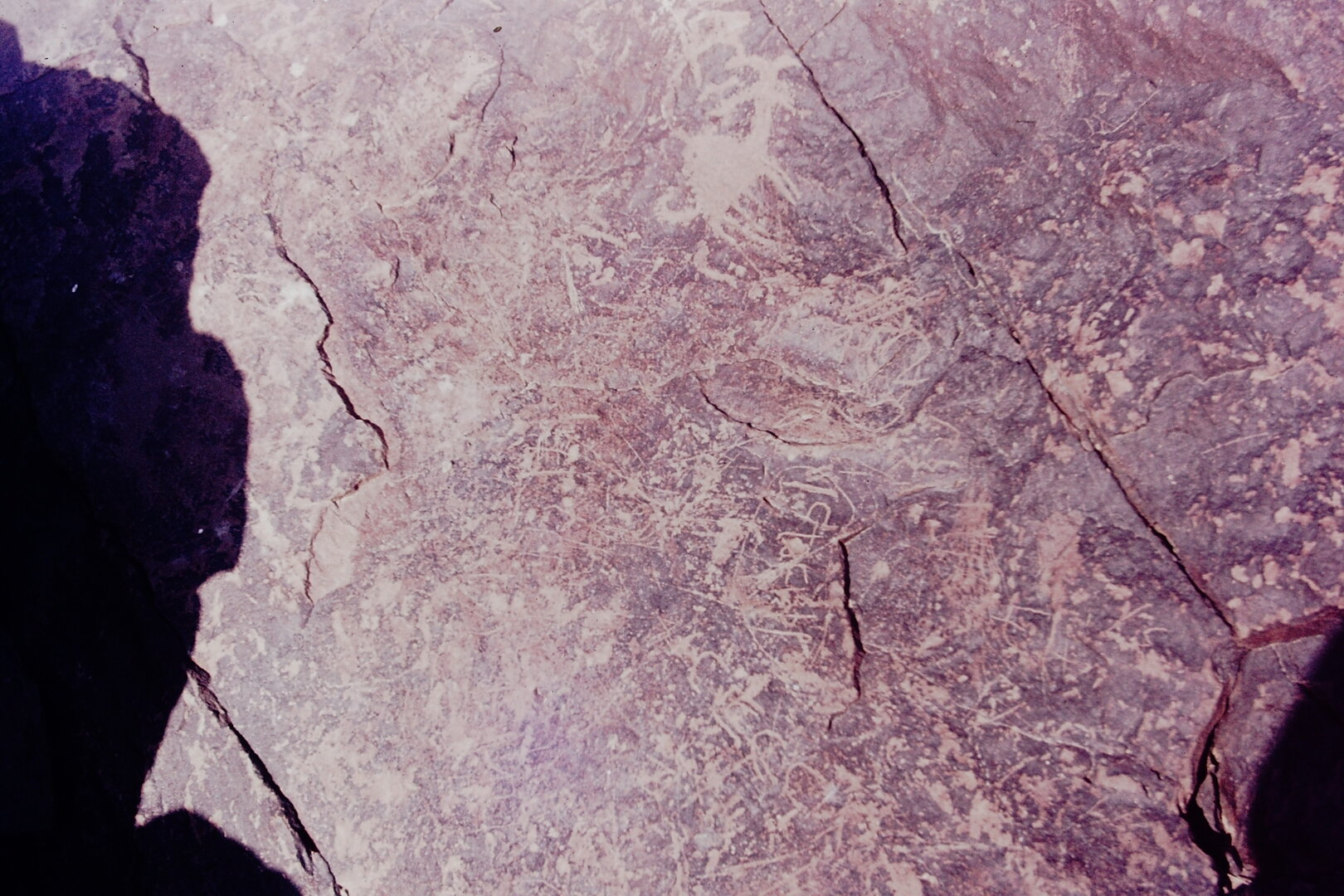 inscription of siglum CSNS 397