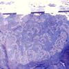 inscription of siglum CSNS 408