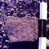 inscription of siglum CSNS 410