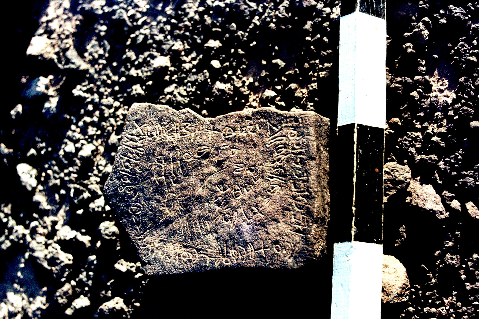 inscription of siglum CSNS 411