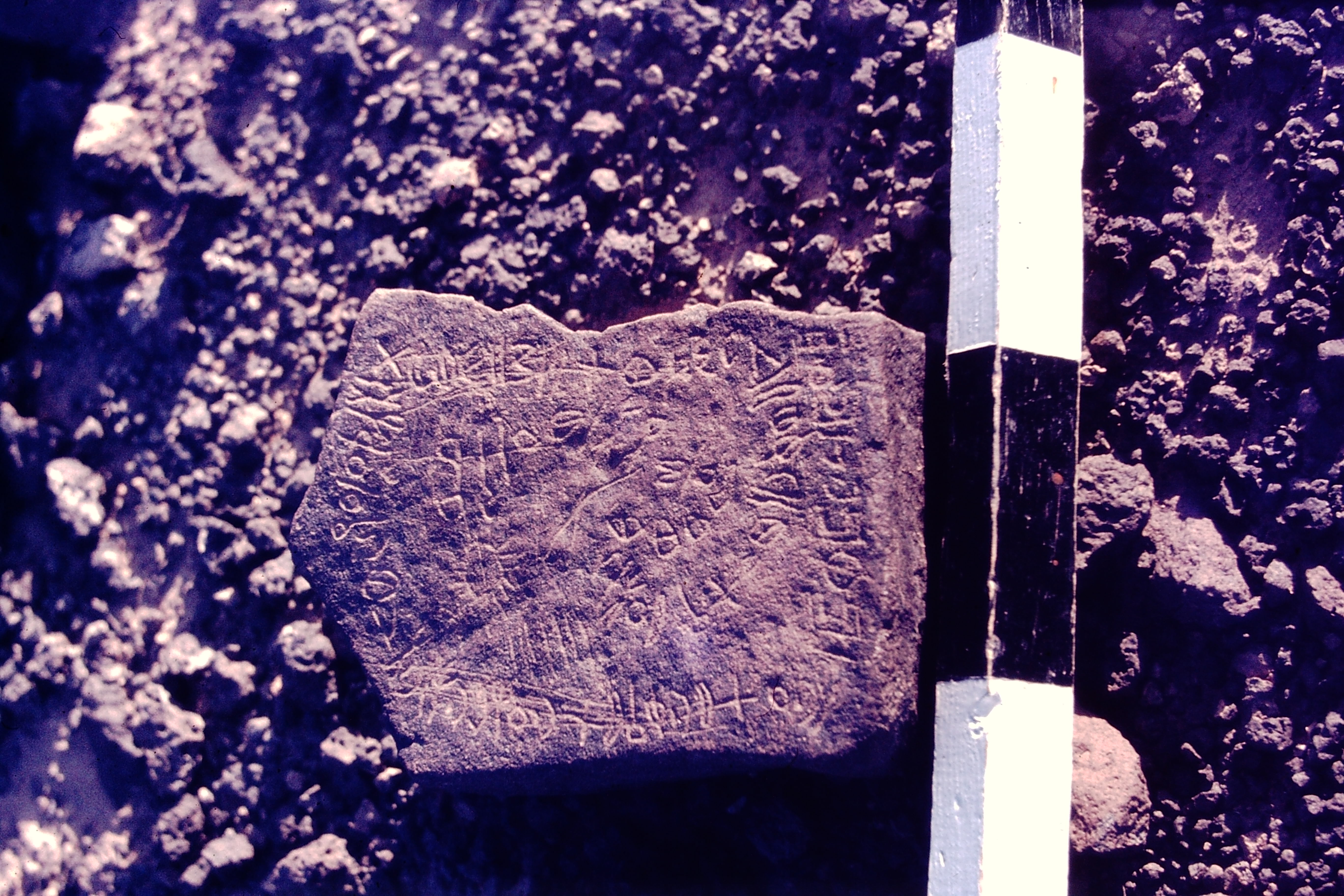 inscription of siglum CSNS 411