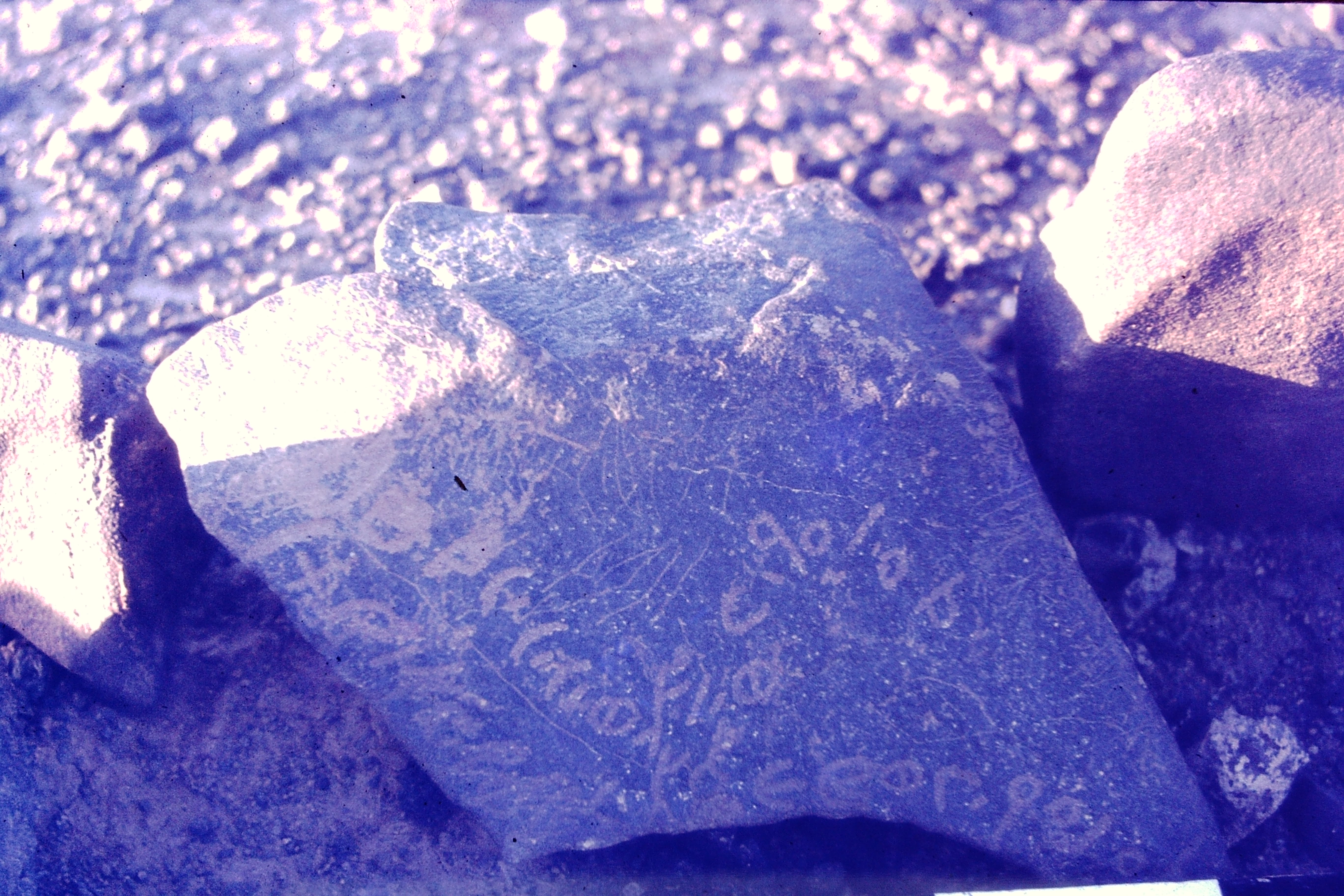 inscription of siglum CSNS 416