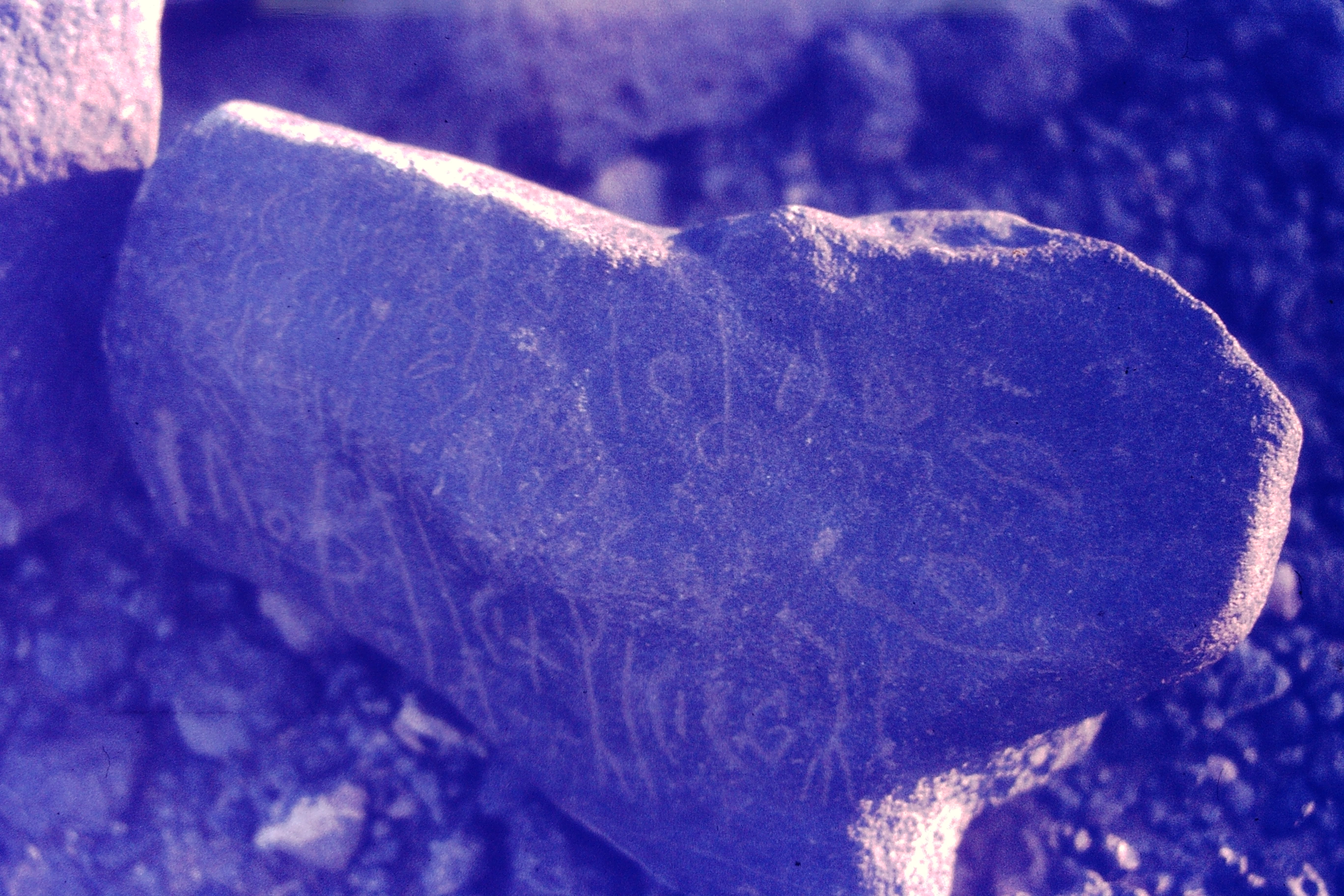 inscription of siglum CSNS 421