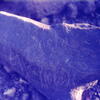 inscription of siglum CSNS 422