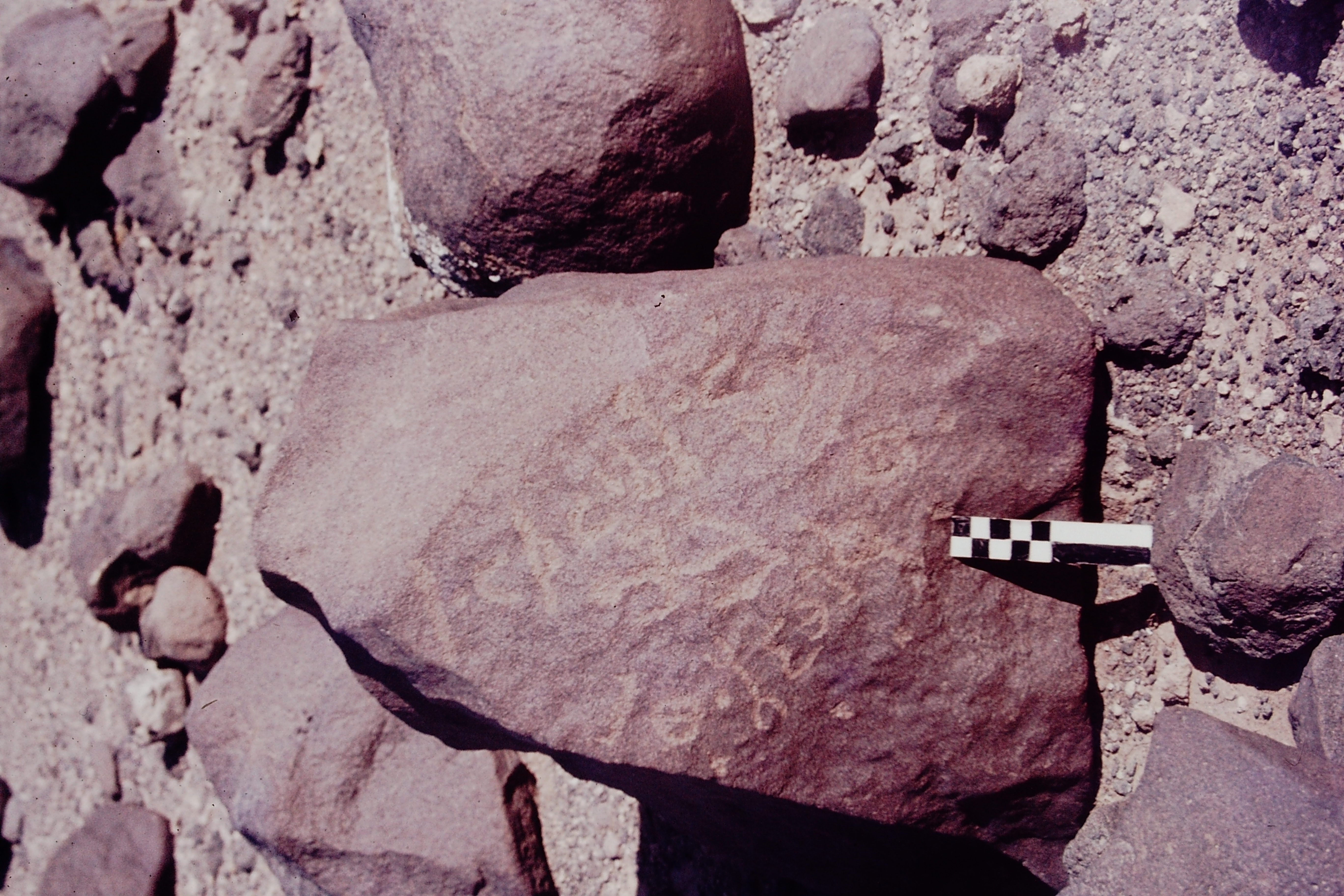 inscription of siglum CSNS 426