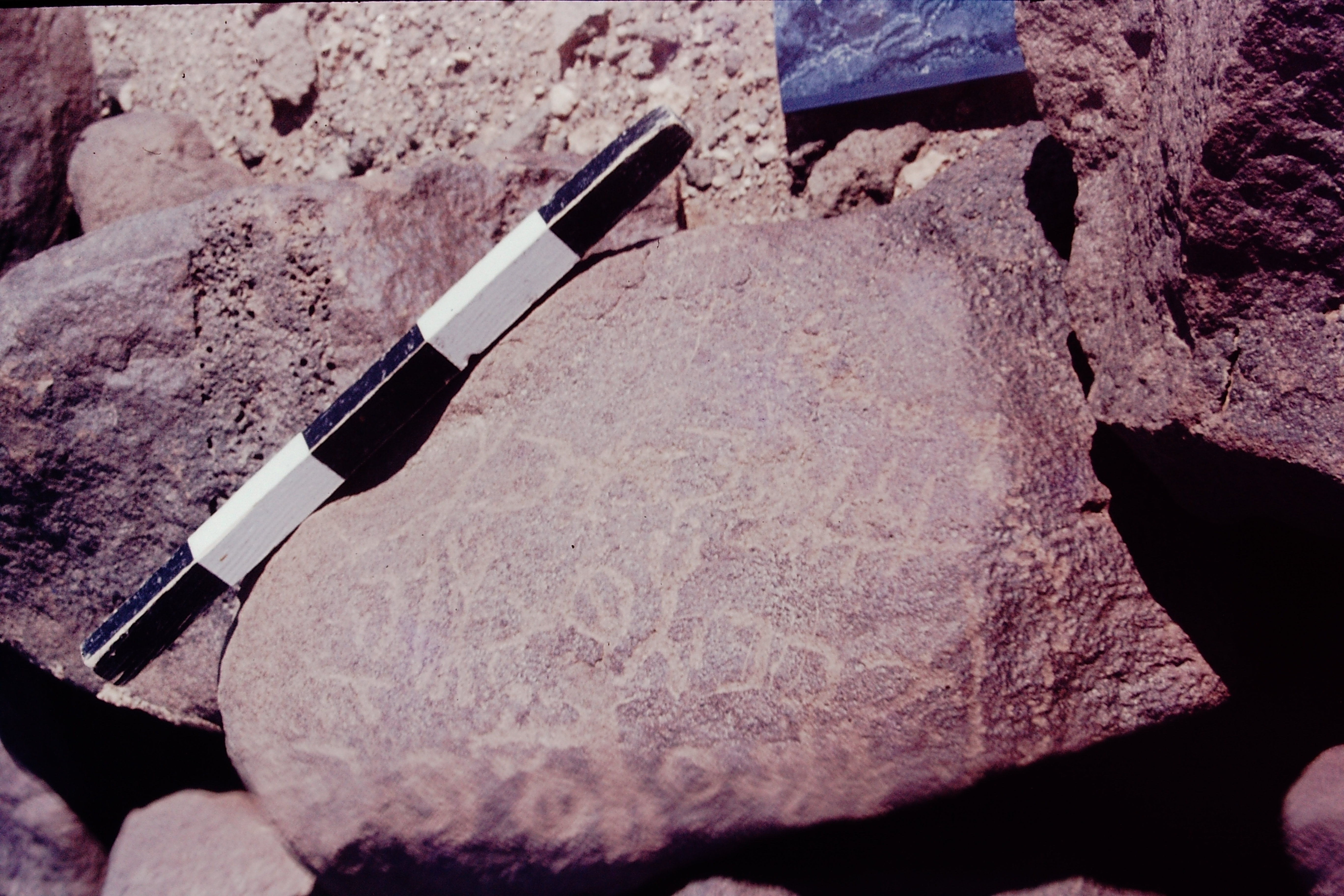 inscription of siglum CSNS 427