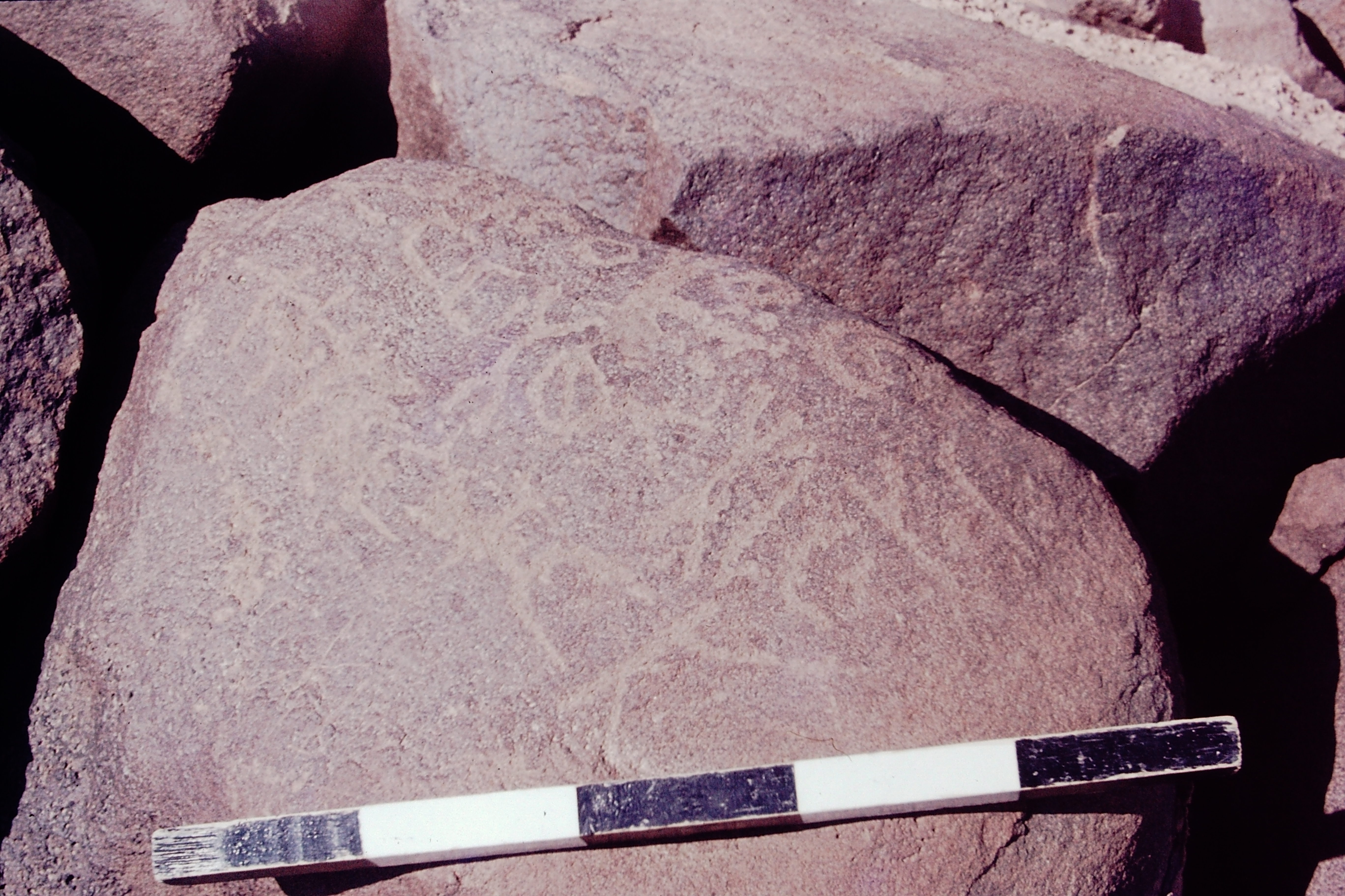 inscription of siglum CSNS 427