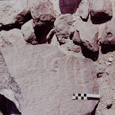 inscription of siglum CSNS 431