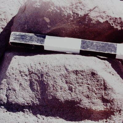 inscription of siglum CSNS 434