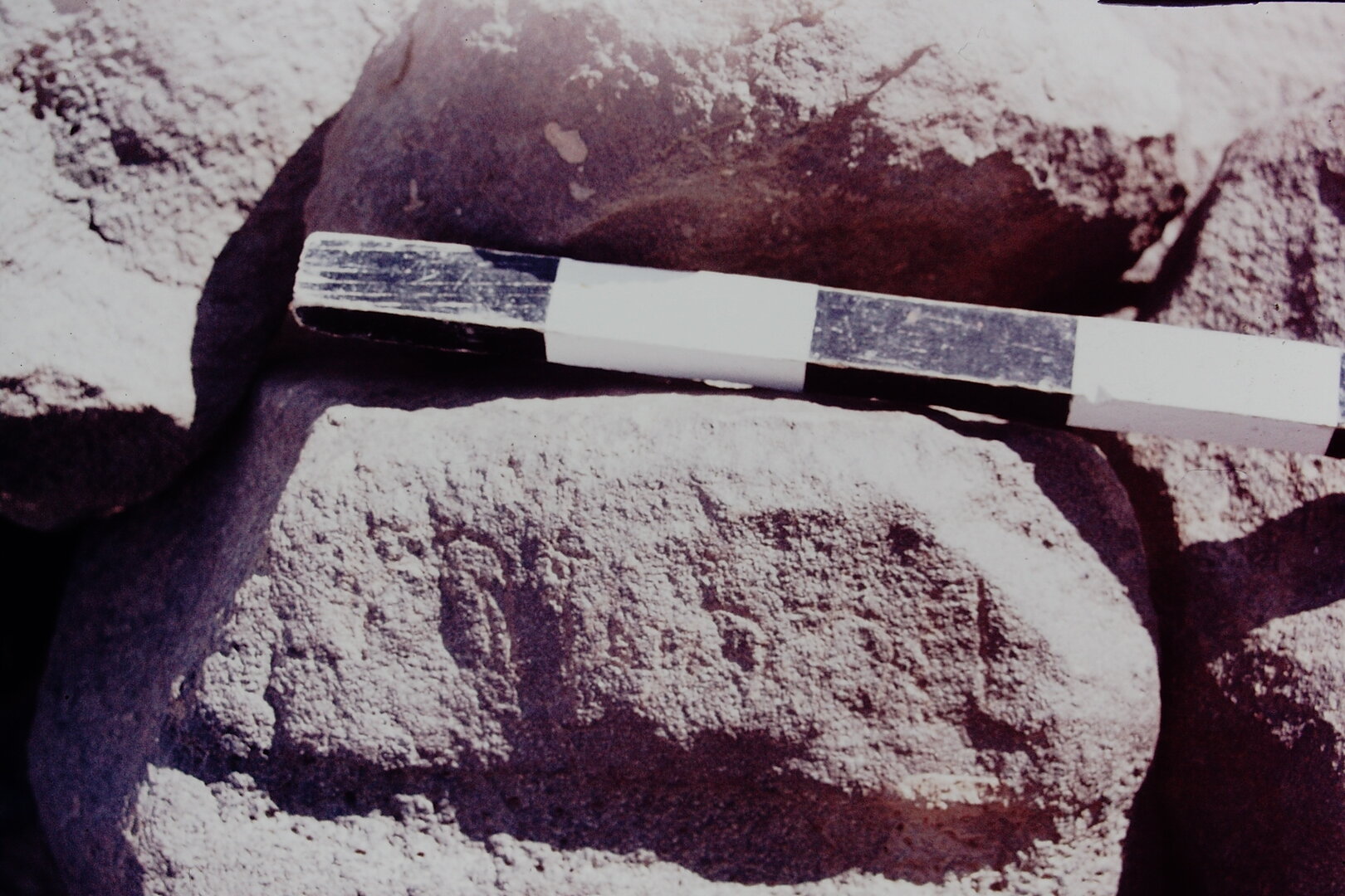 inscription of siglum CSNS 434