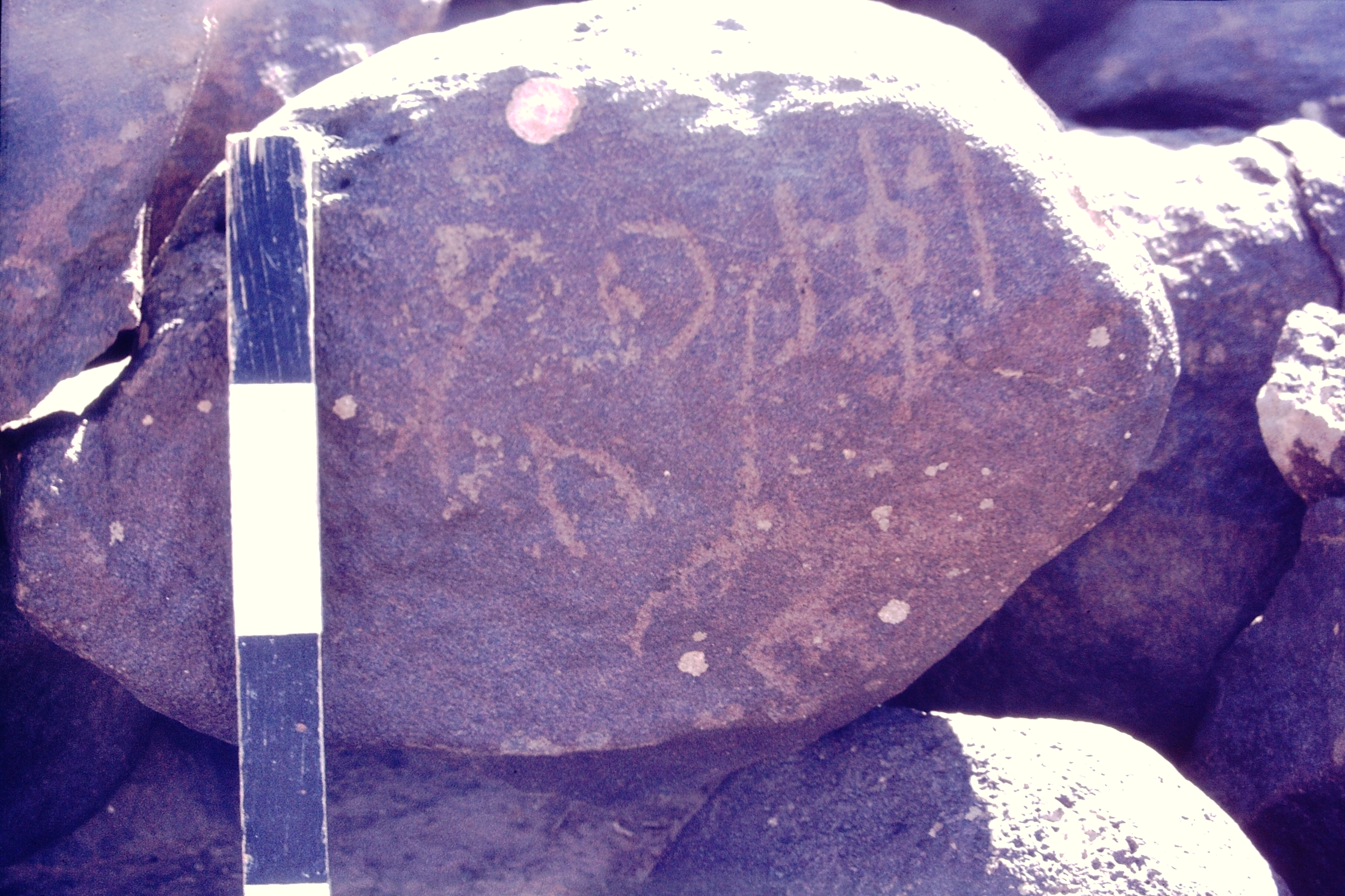 inscription of siglum CSNS 435