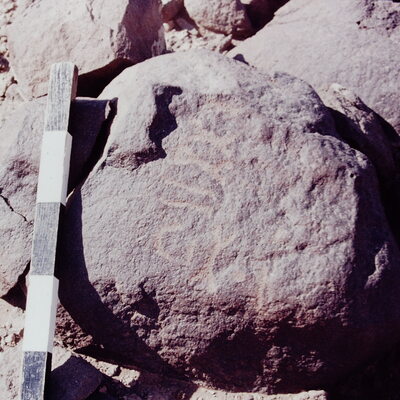 inscription of siglum CSNS 436