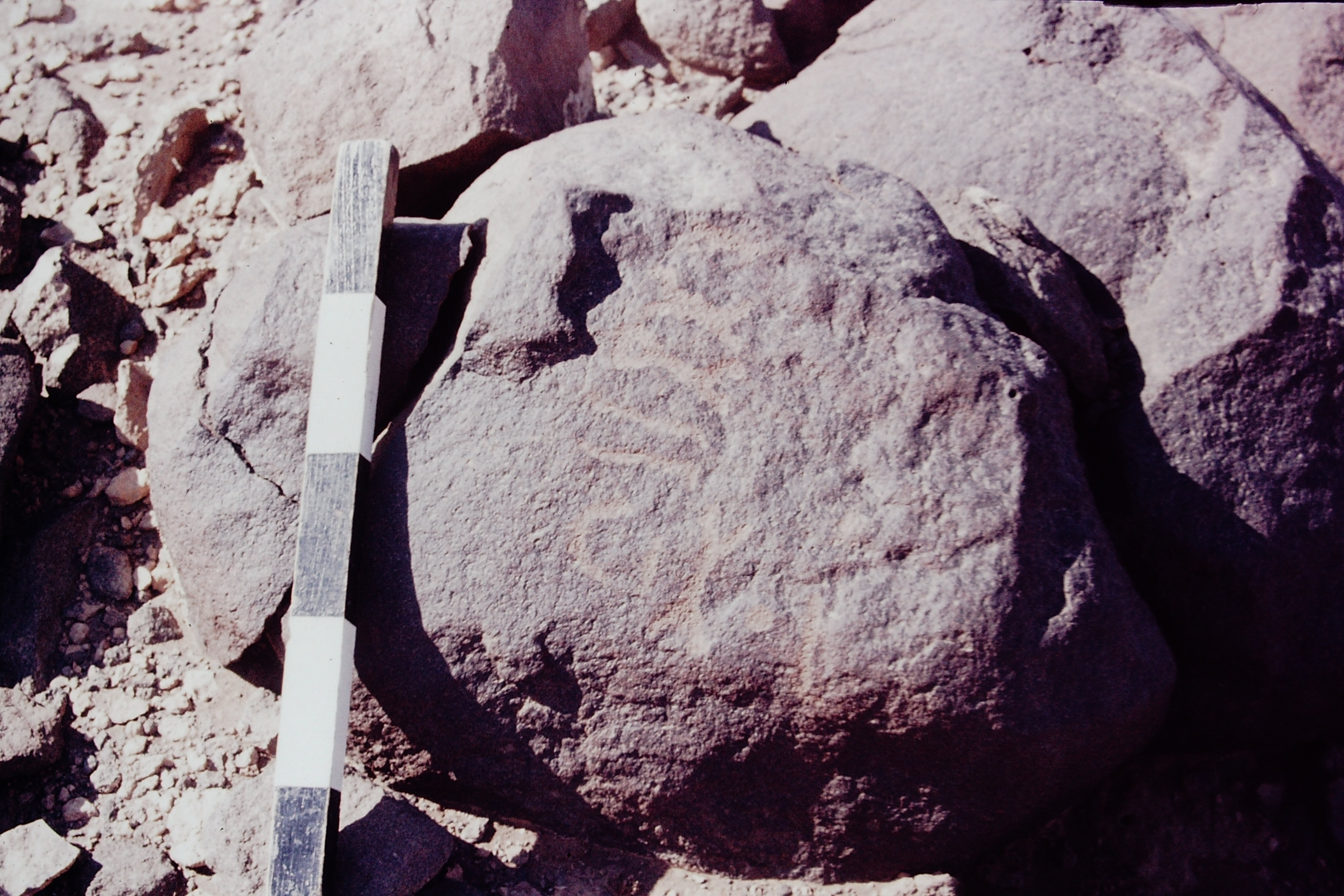 inscription of siglum CSNS 436