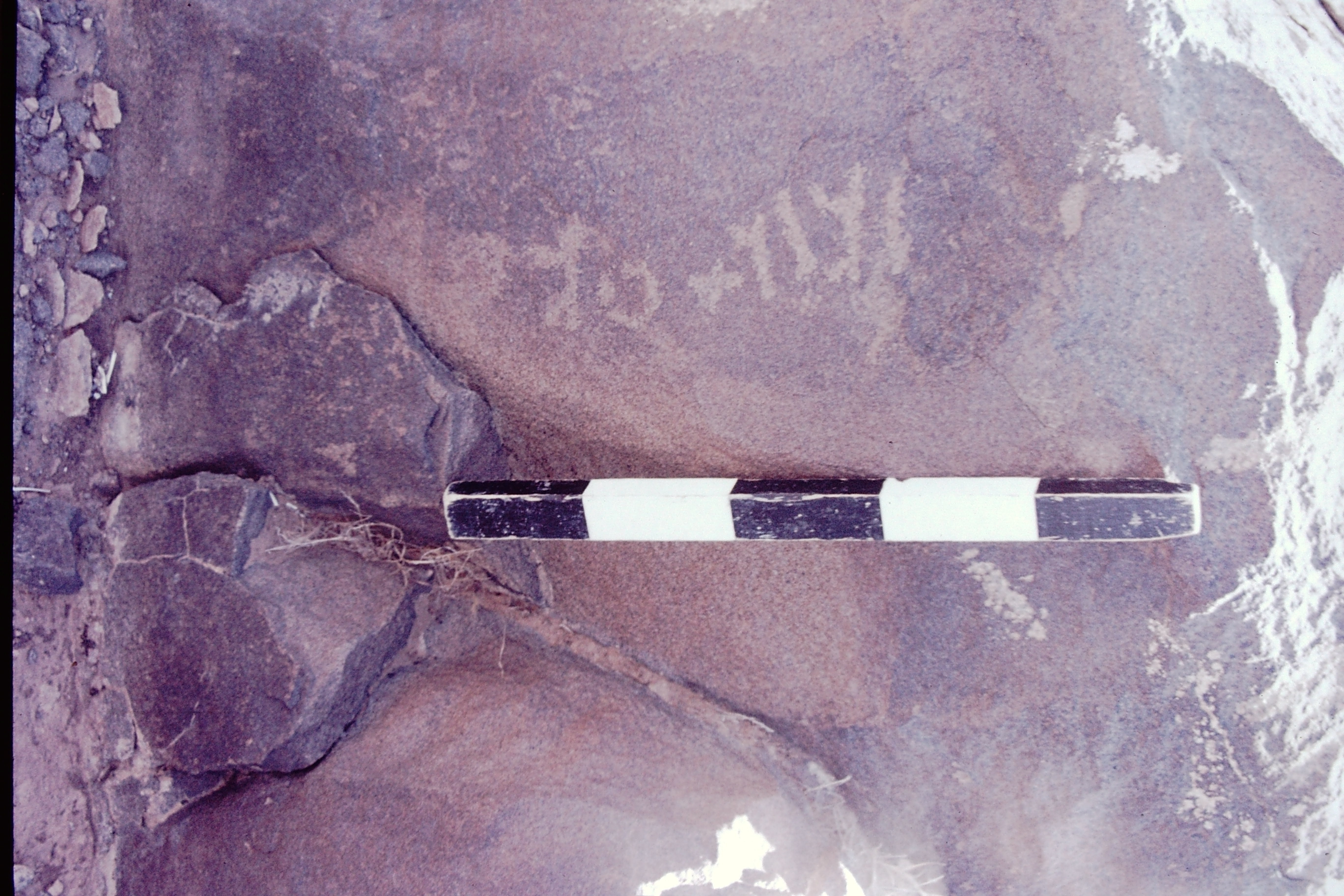 inscription of siglum CSNS 437
