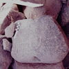 inscription of siglum CSNS 440