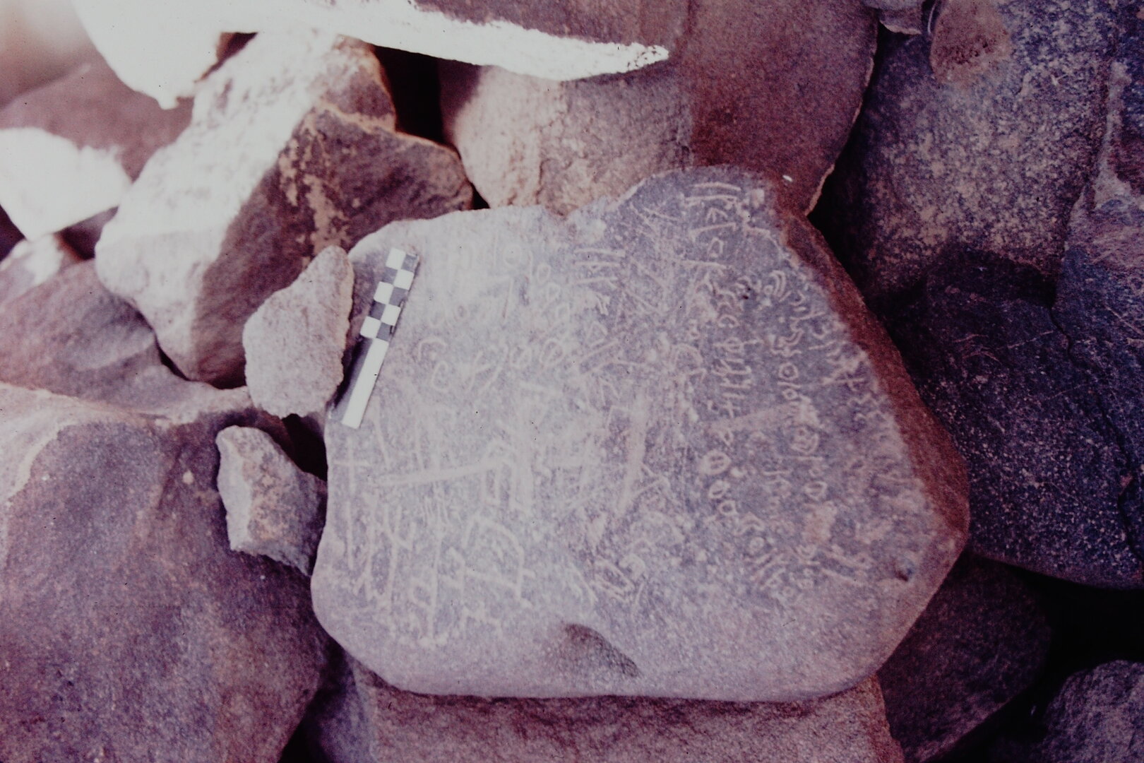 inscription of siglum CSNS 442