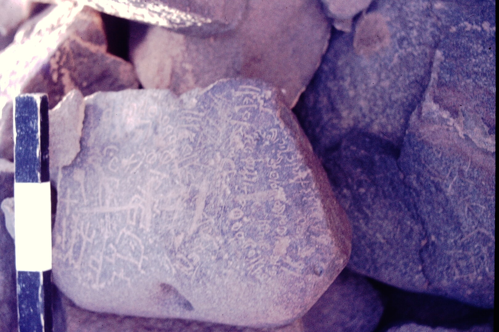 inscription of siglum CSNS 442