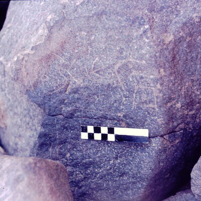 inscription of siglum CSNS 443
