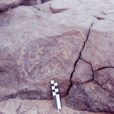 inscription of siglum CSNS 444