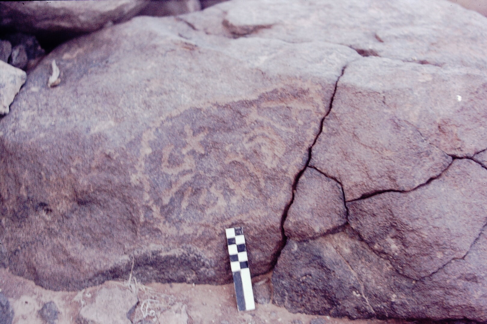 inscription of siglum CSNS 444