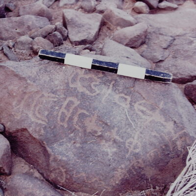inscription of siglum CSNS 445