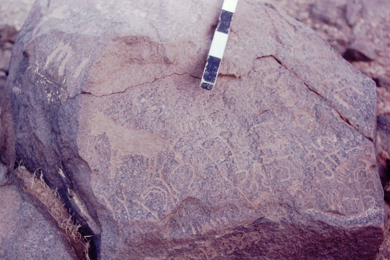 inscription of siglum CSNS 454