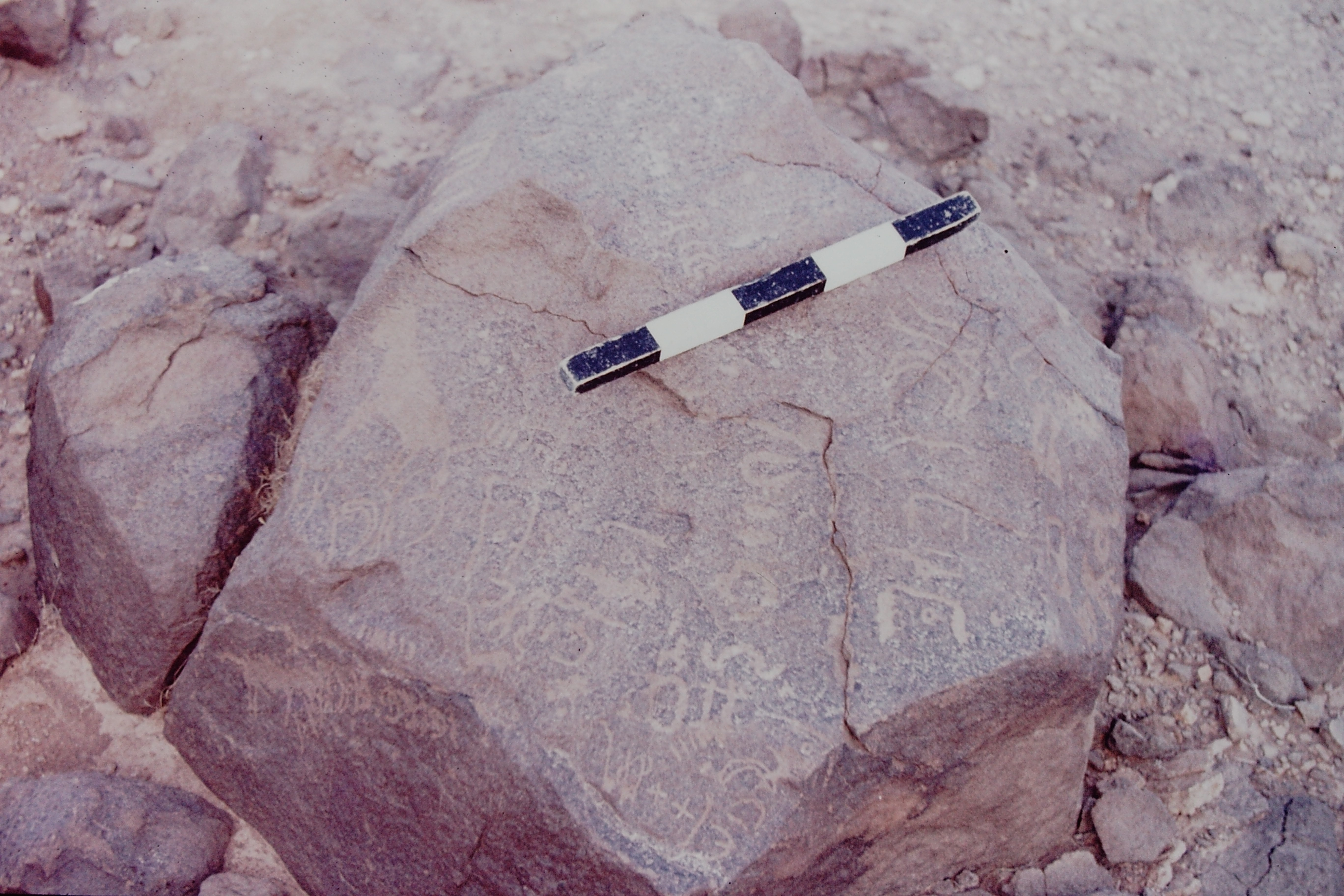 inscription of siglum CSNS 455