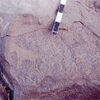 inscription of siglum CSNS 455