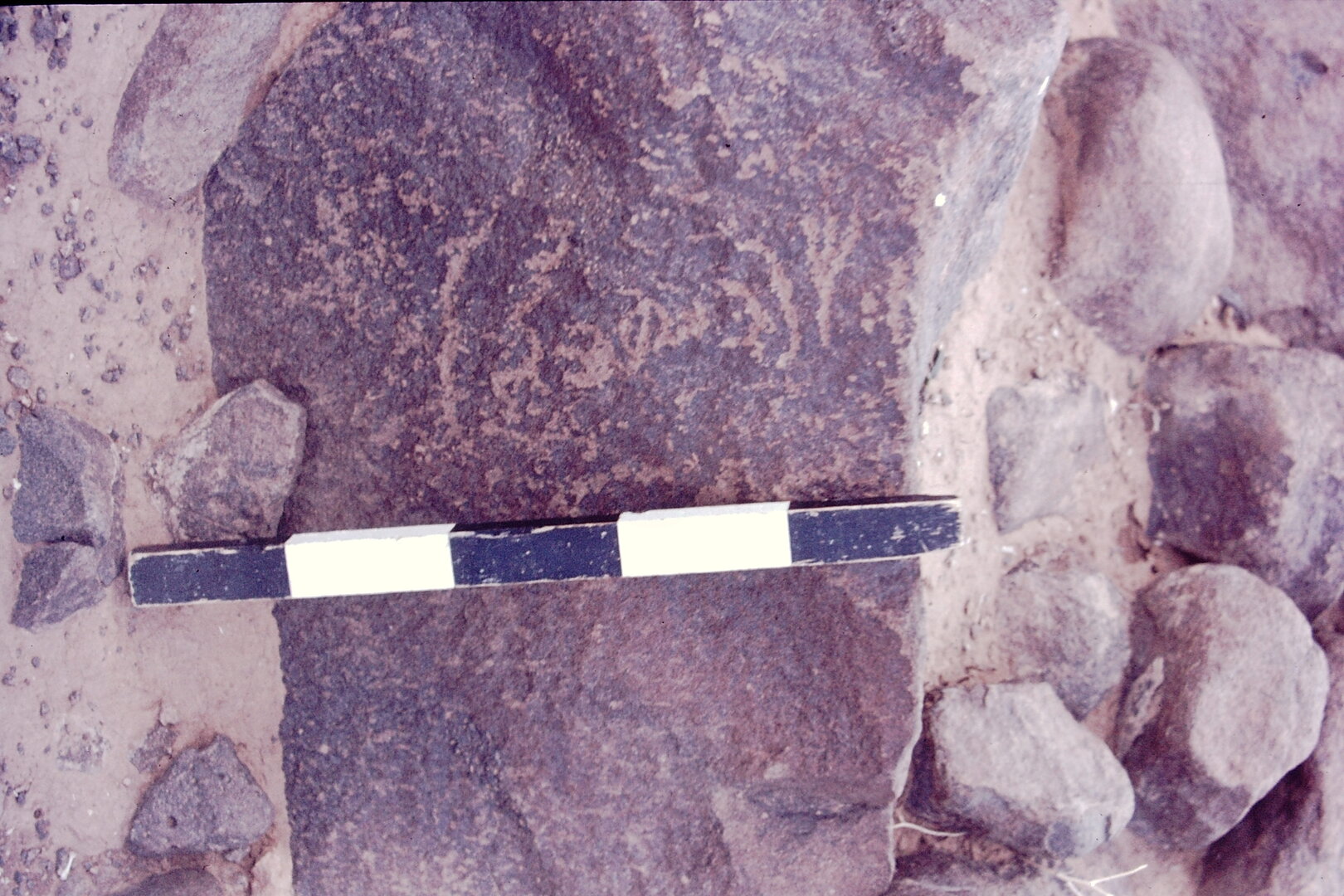 inscription of siglum CSNS 456