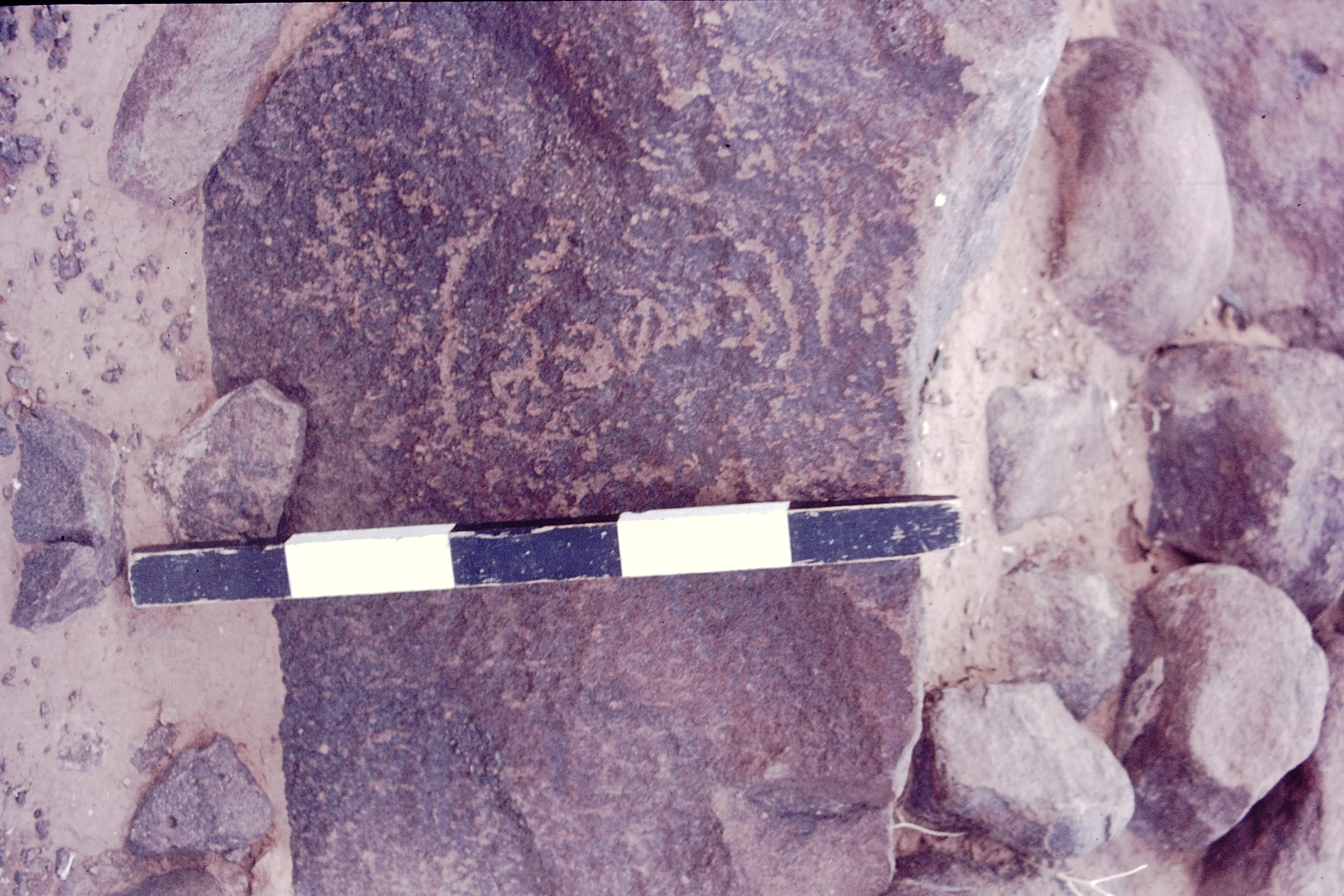 inscription of siglum CSNS 456