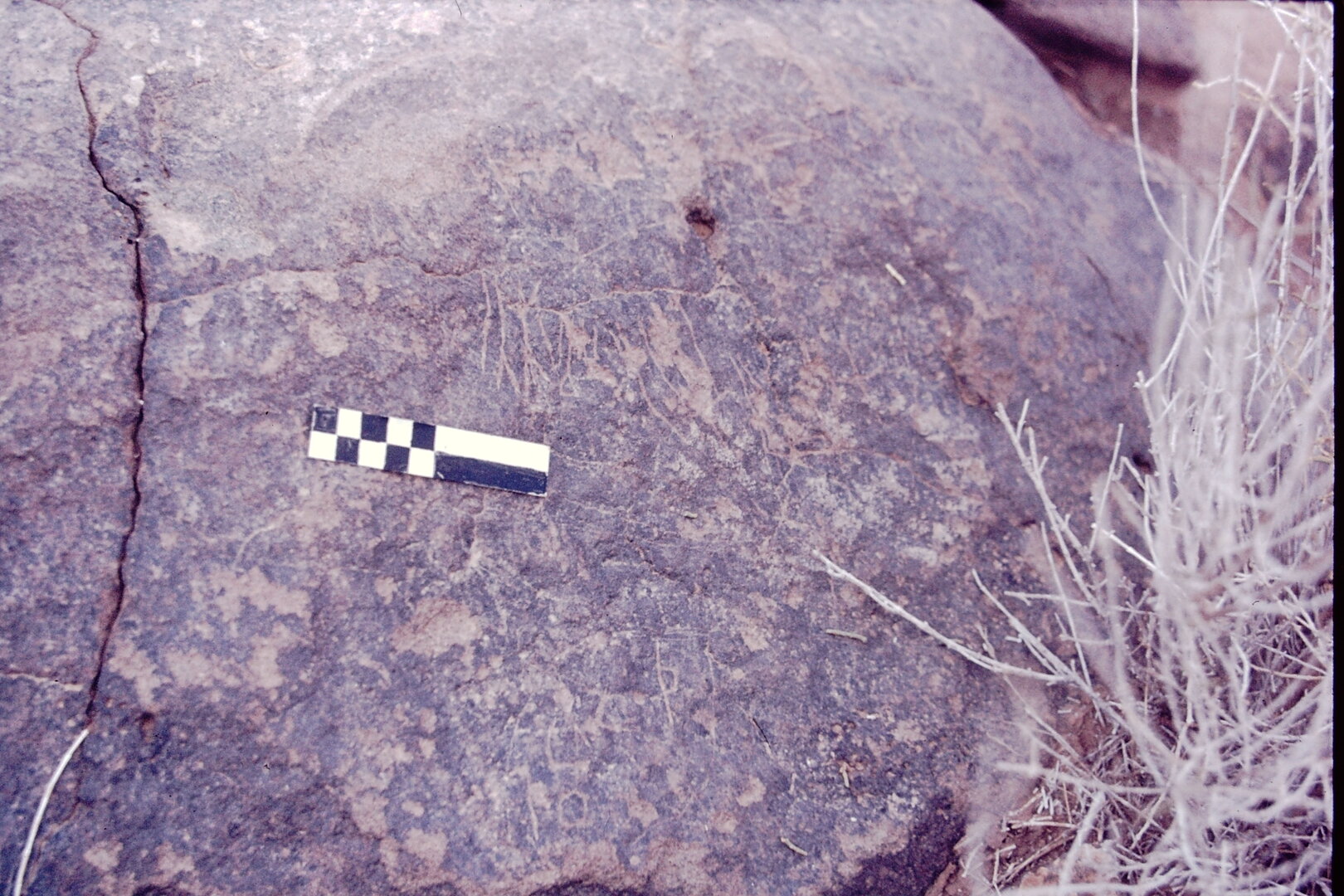 inscription of siglum CSNS 459