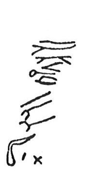 inscription of siglum CSNS 460.1