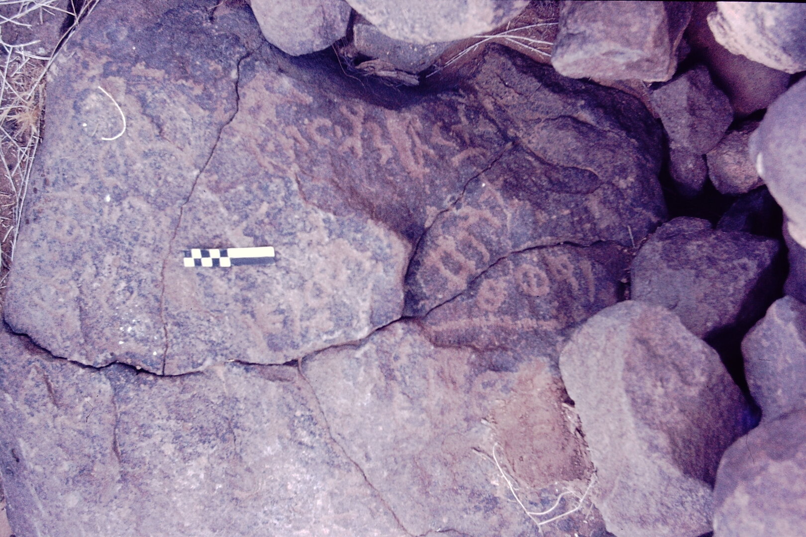 inscription of siglum CSNS 465