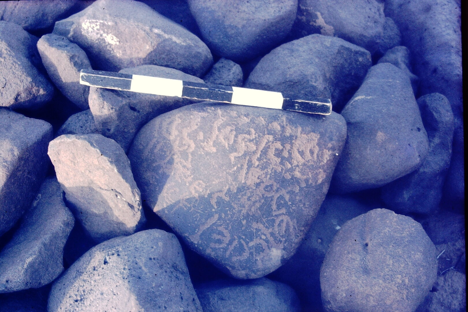 inscription of siglum CSNS 470