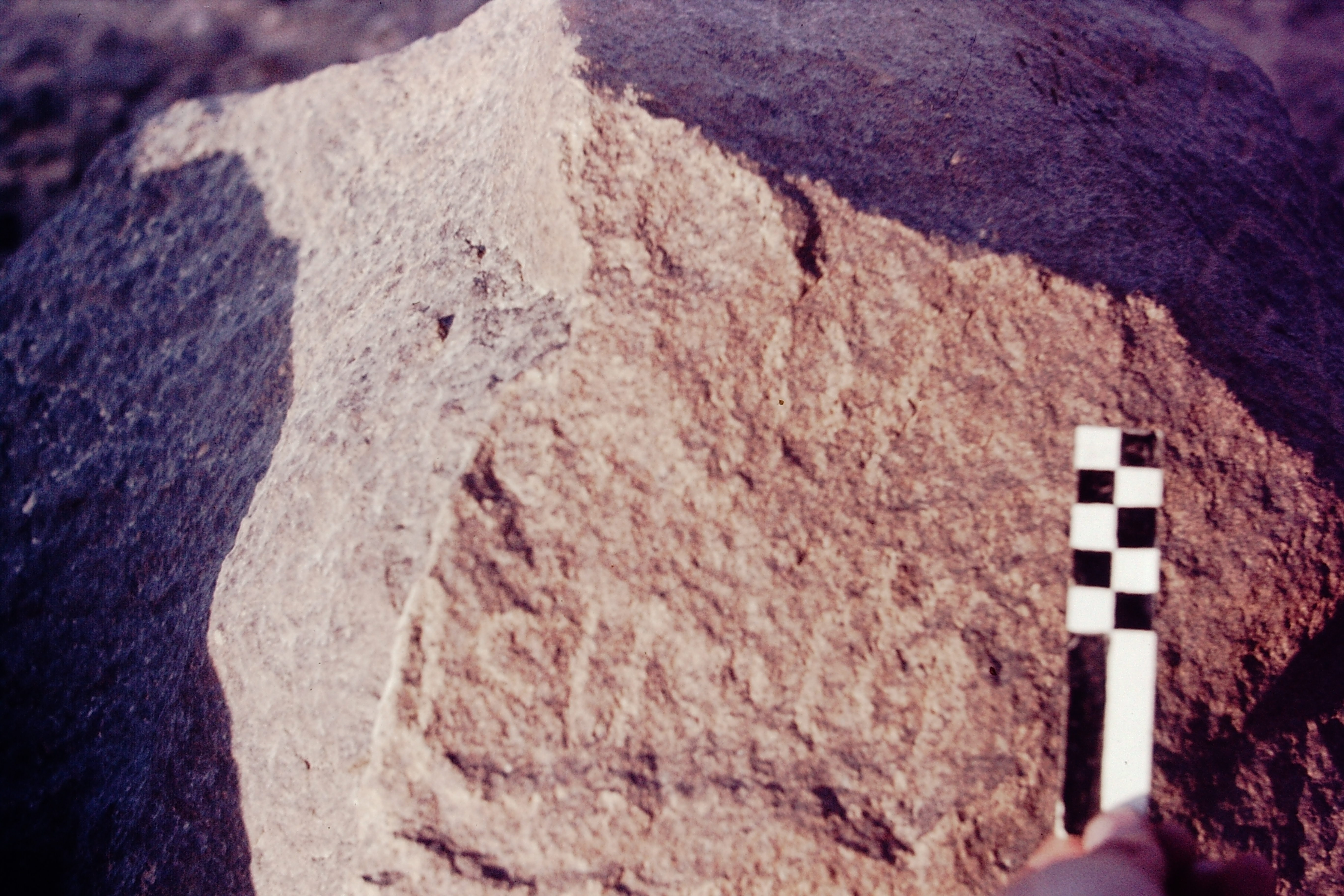 inscription of siglum CSNS 477
